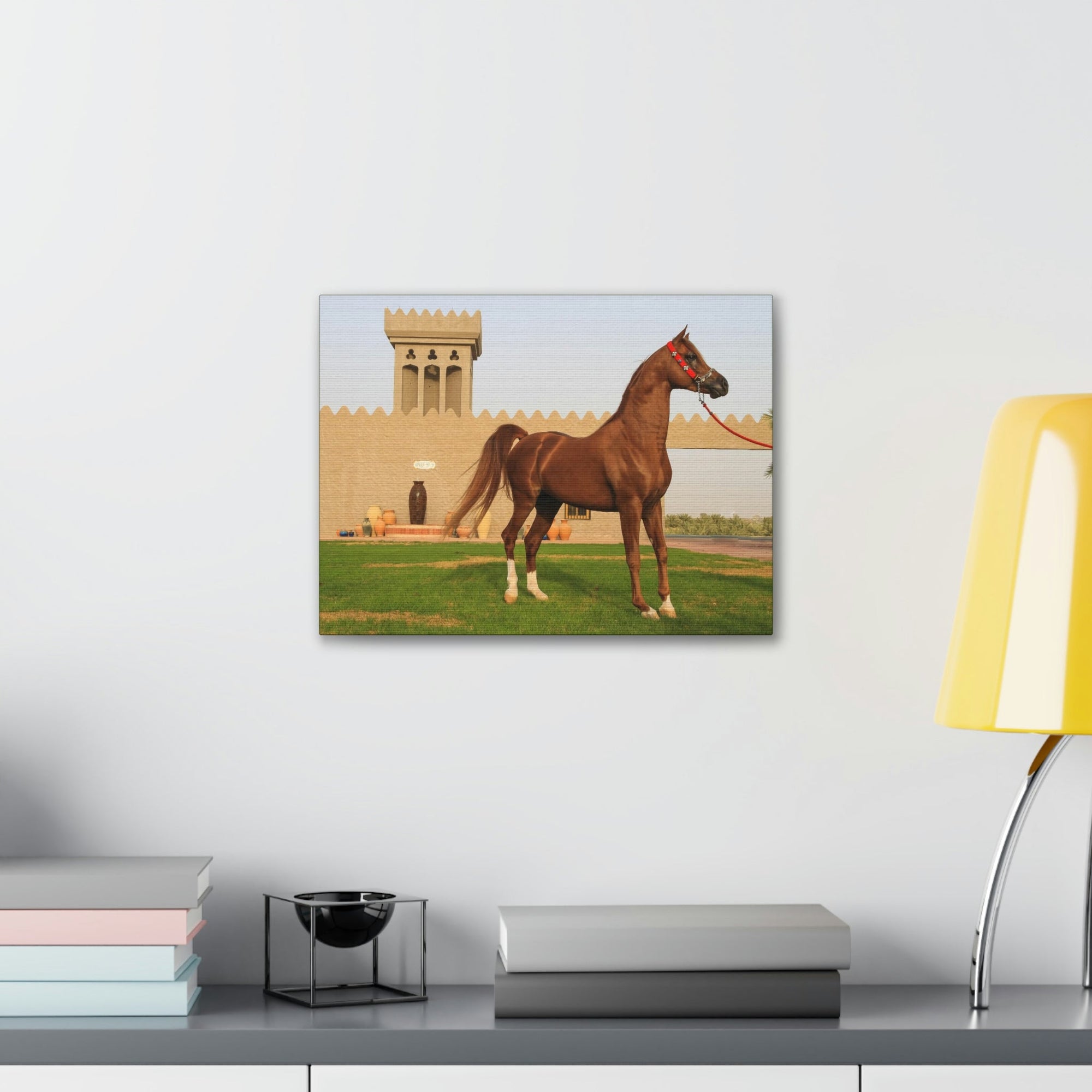 Funny Arab Horse Indoor Wall Art Ready to Hang Unframed-Express Your Love Gifts