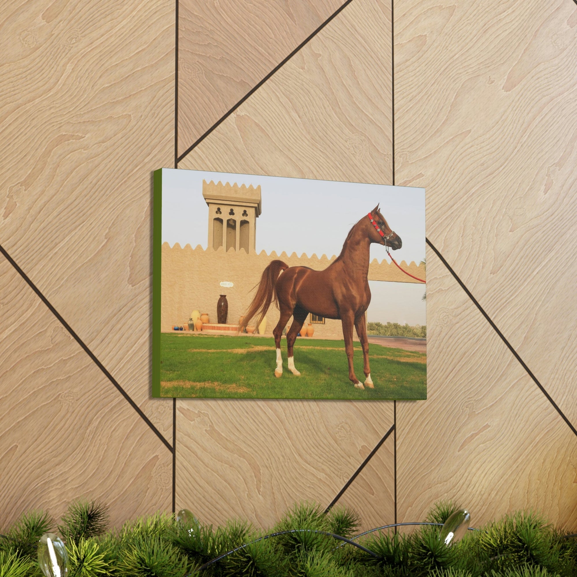 Funny Arab Horse Indoor Wall Art Ready to Hang Unframed-Express Your Love Gifts