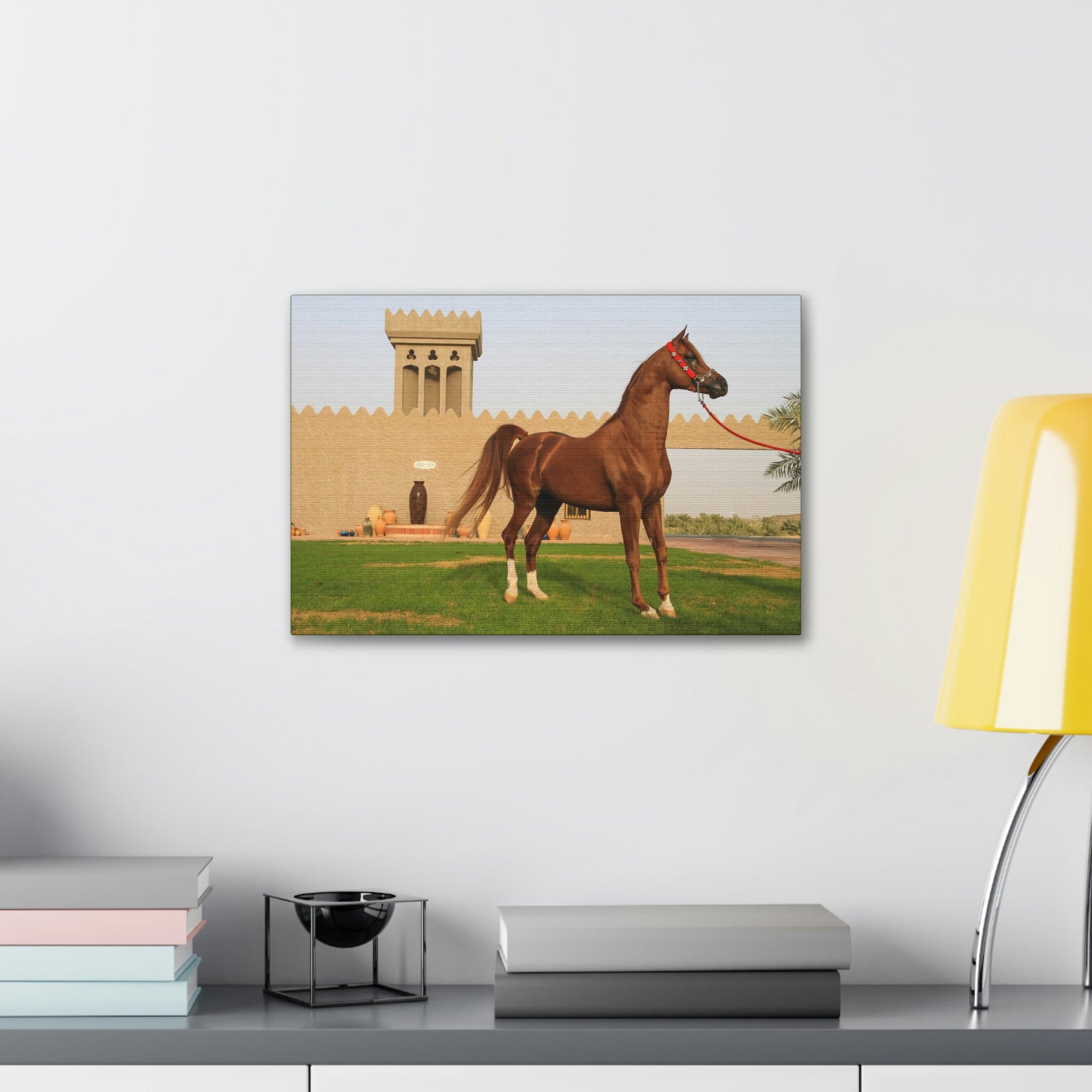 Funny Arab Horse Indoor Wall Art Ready to Hang Unframed-Express Your Love Gifts