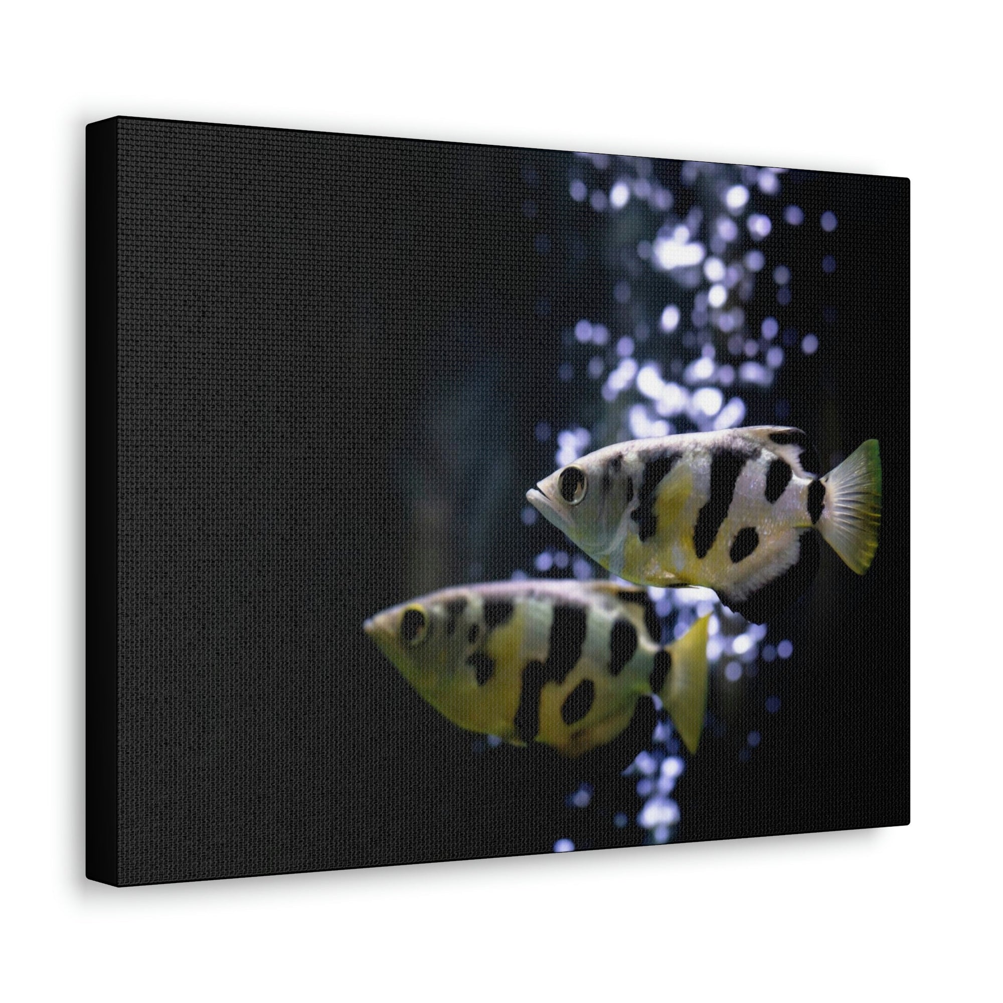 Funny Archer Fish Silly Archer Fish Couple Wall Art Ready to Hang Unframed-Express Your Love Gifts