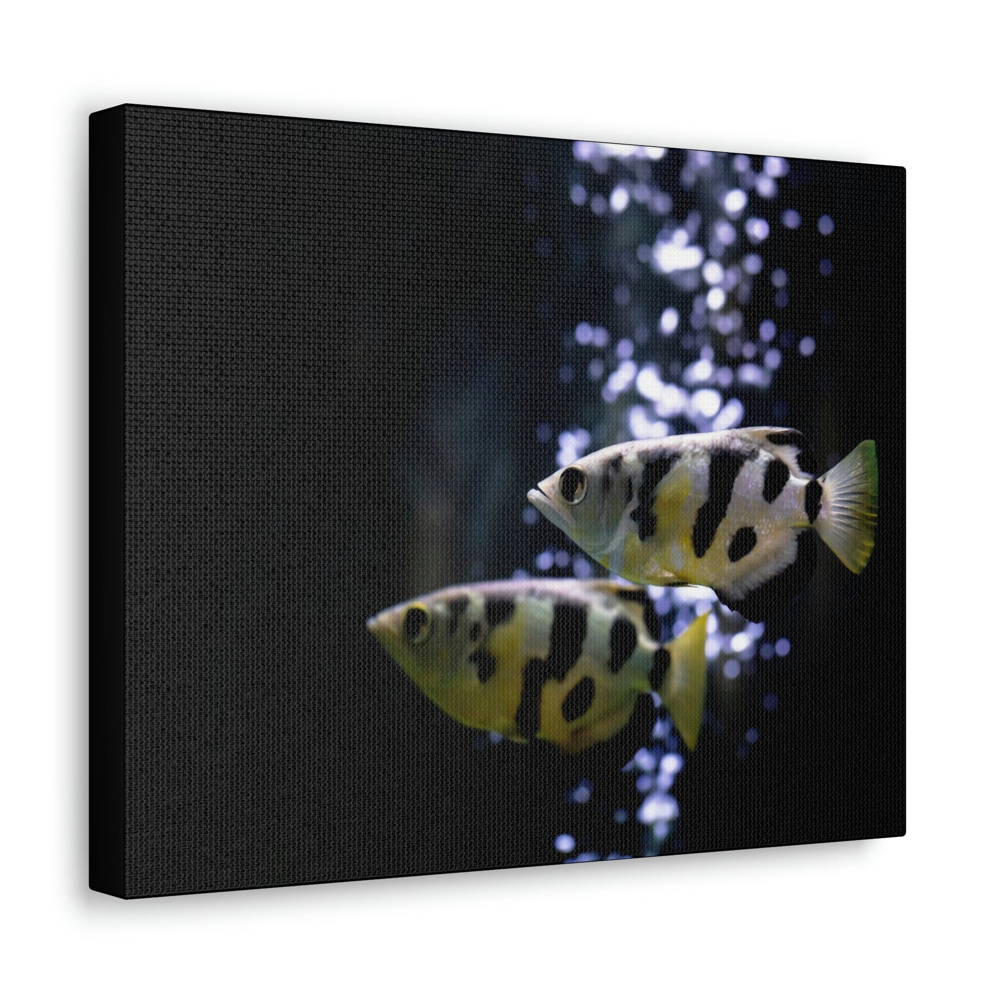 Funny Archer Fish Silly Archer Fish Couple Wall Art Ready to Hang Unframed-Express Your Love Gifts