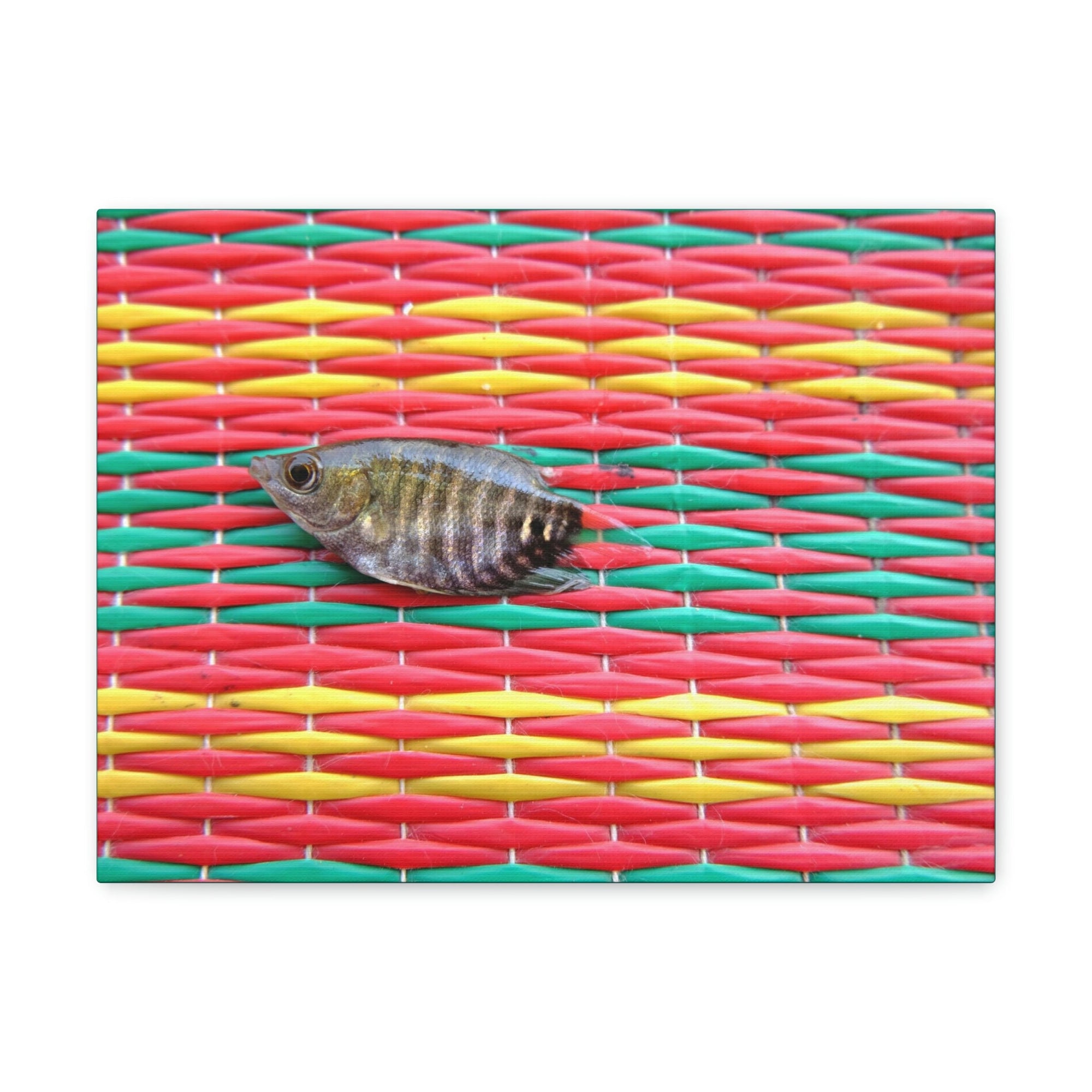 Funny Archer Fish Silly Archer Fish Inside Wall Art Ready to Hang Unframed-Express Your Love Gifts