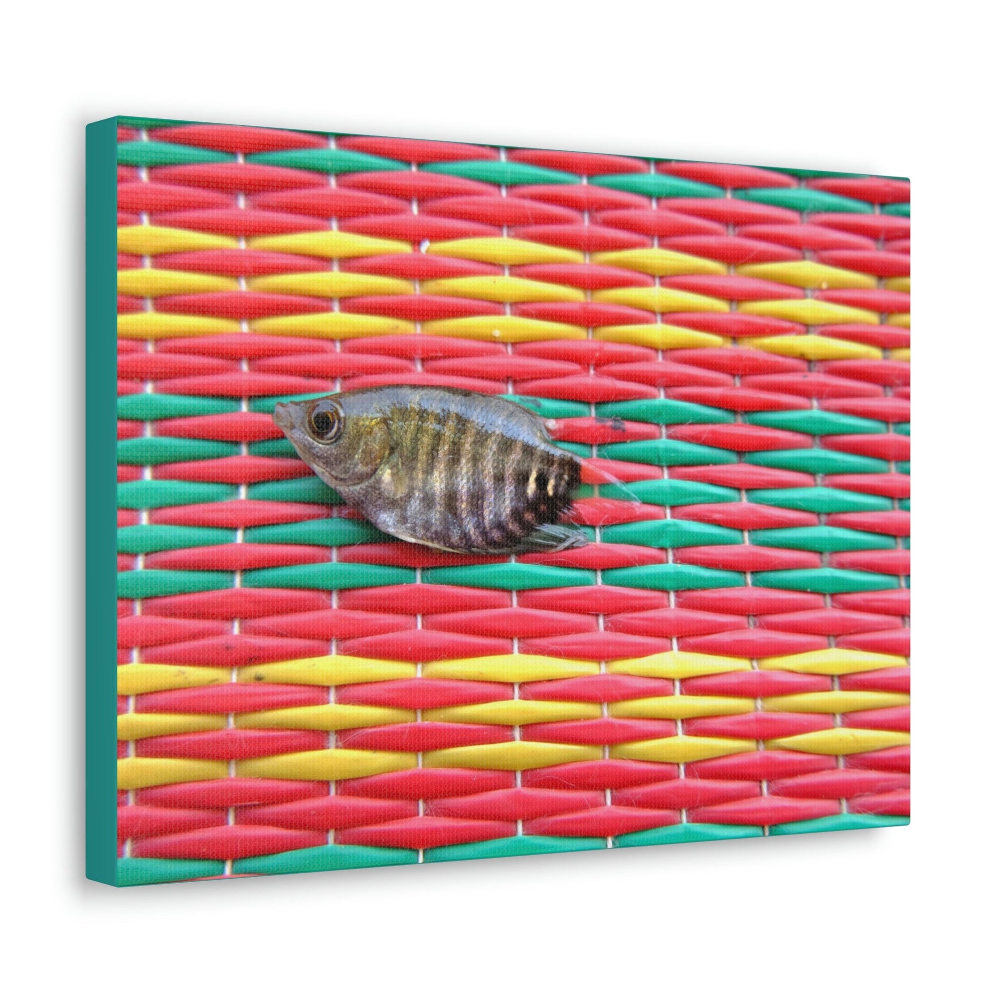 Funny Archer Fish Silly Archer Fish Inside Wall Art Ready to Hang Unframed-Express Your Love Gifts