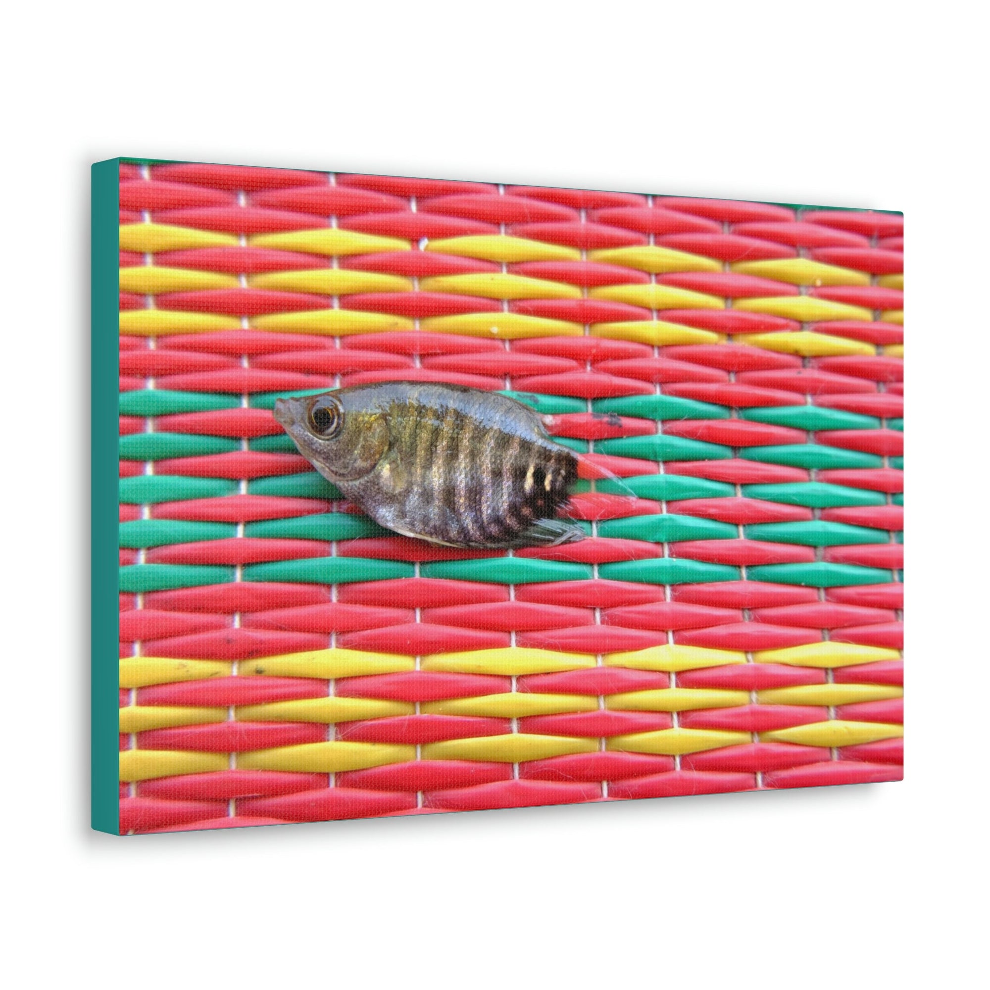 Funny Archer Fish Silly Archer Fish Inside Wall Art Ready to Hang Unframed-Express Your Love Gifts