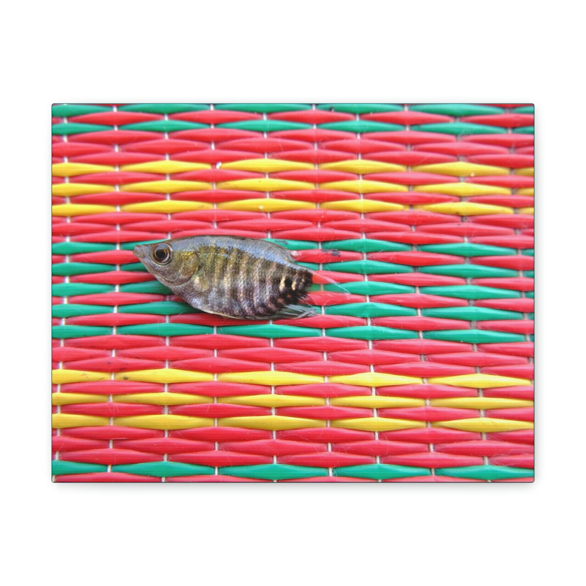 Funny Archer Fish Silly Archer Fish Inside Wall Art Ready to Hang Unframed-Express Your Love Gifts