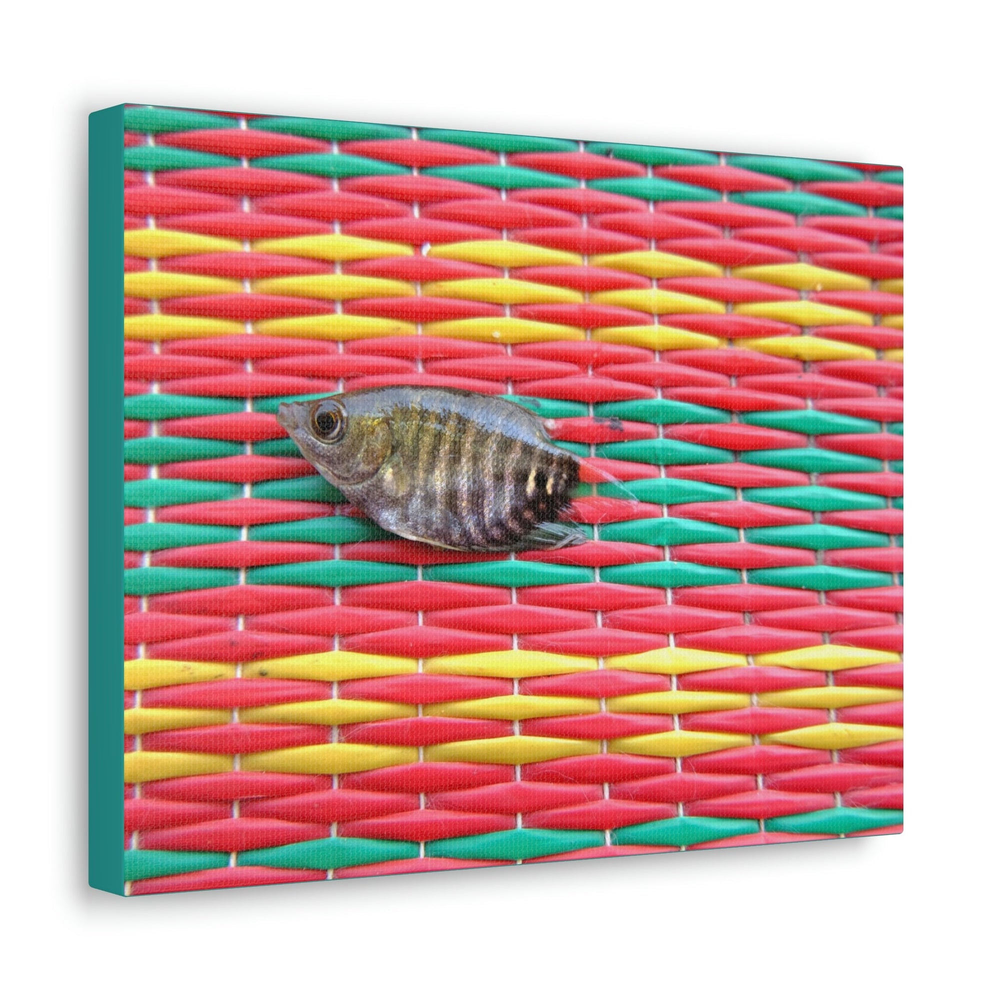 Funny Archer Fish Silly Archer Fish Inside Wall Art Ready to Hang Unframed-Express Your Love Gifts