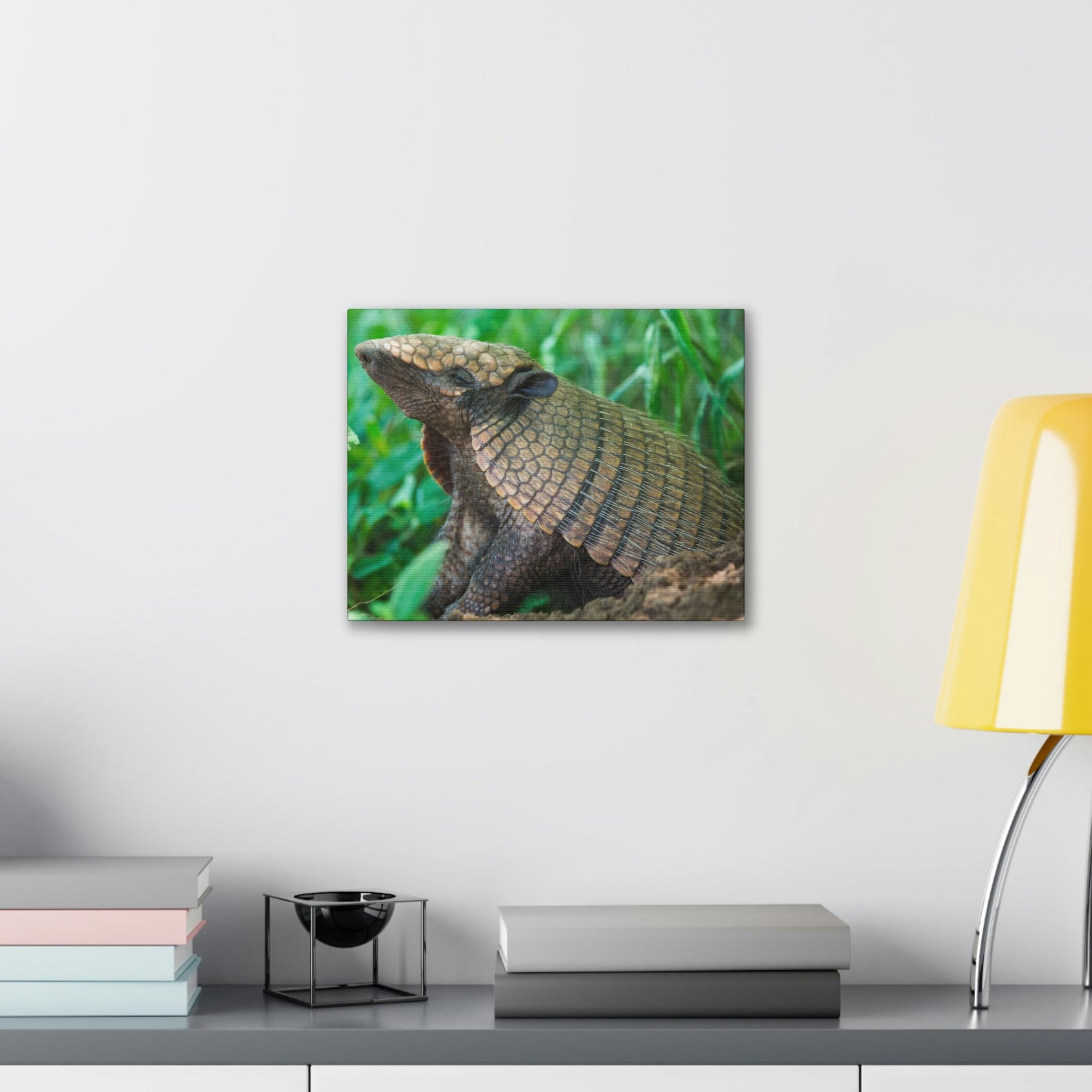 Funny Armadillo Silly Armadillo Outside Wall Art Ready to Hang Unframed-Express Your Love Gifts