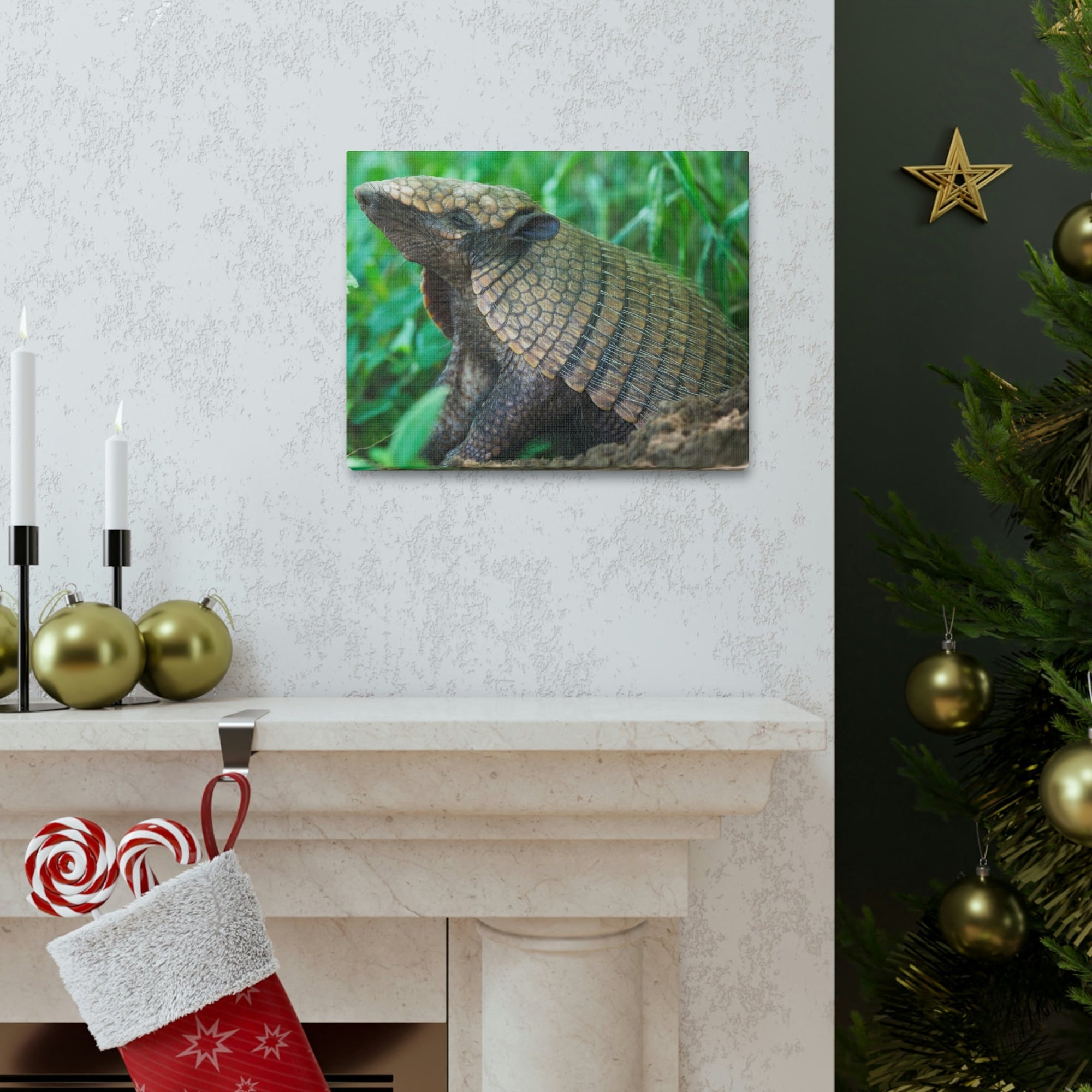 Funny Armadillo Silly Armadillo Outside Wall Art Ready to Hang Unframed-Express Your Love Gifts