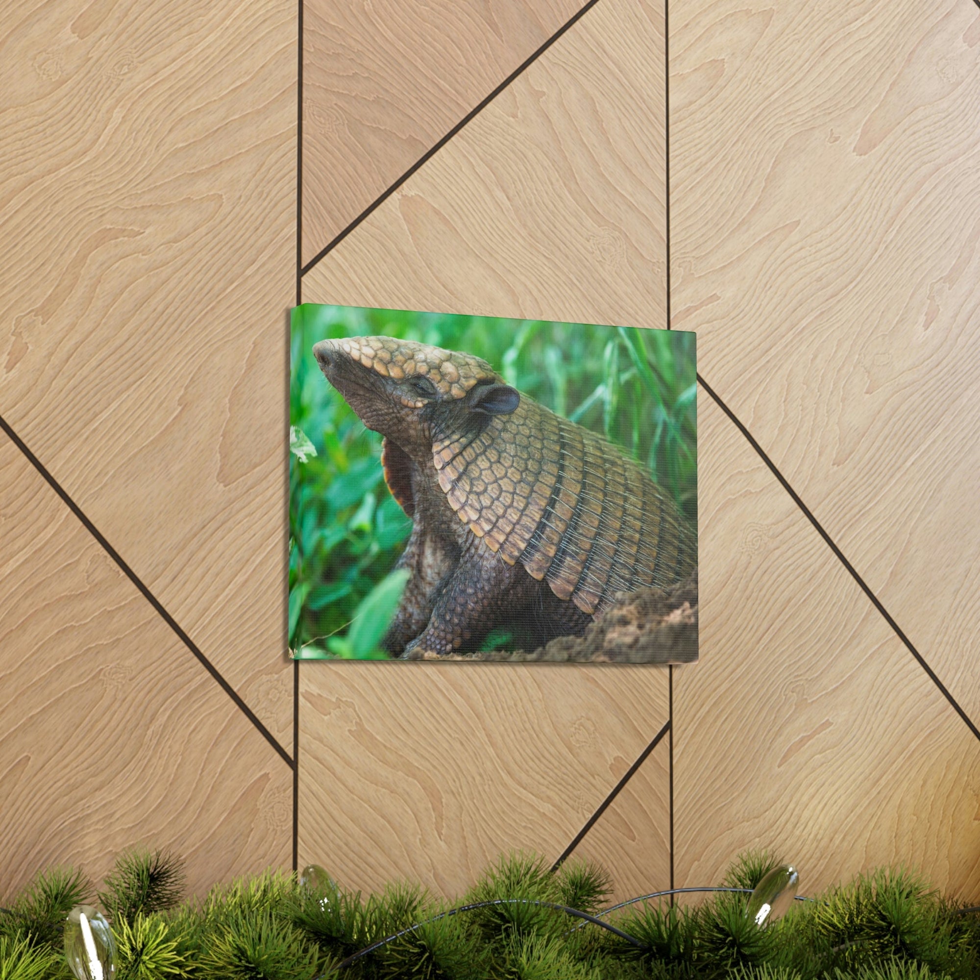 Funny Armadillo Silly Armadillo Outside Wall Art Ready to Hang Unframed-Express Your Love Gifts