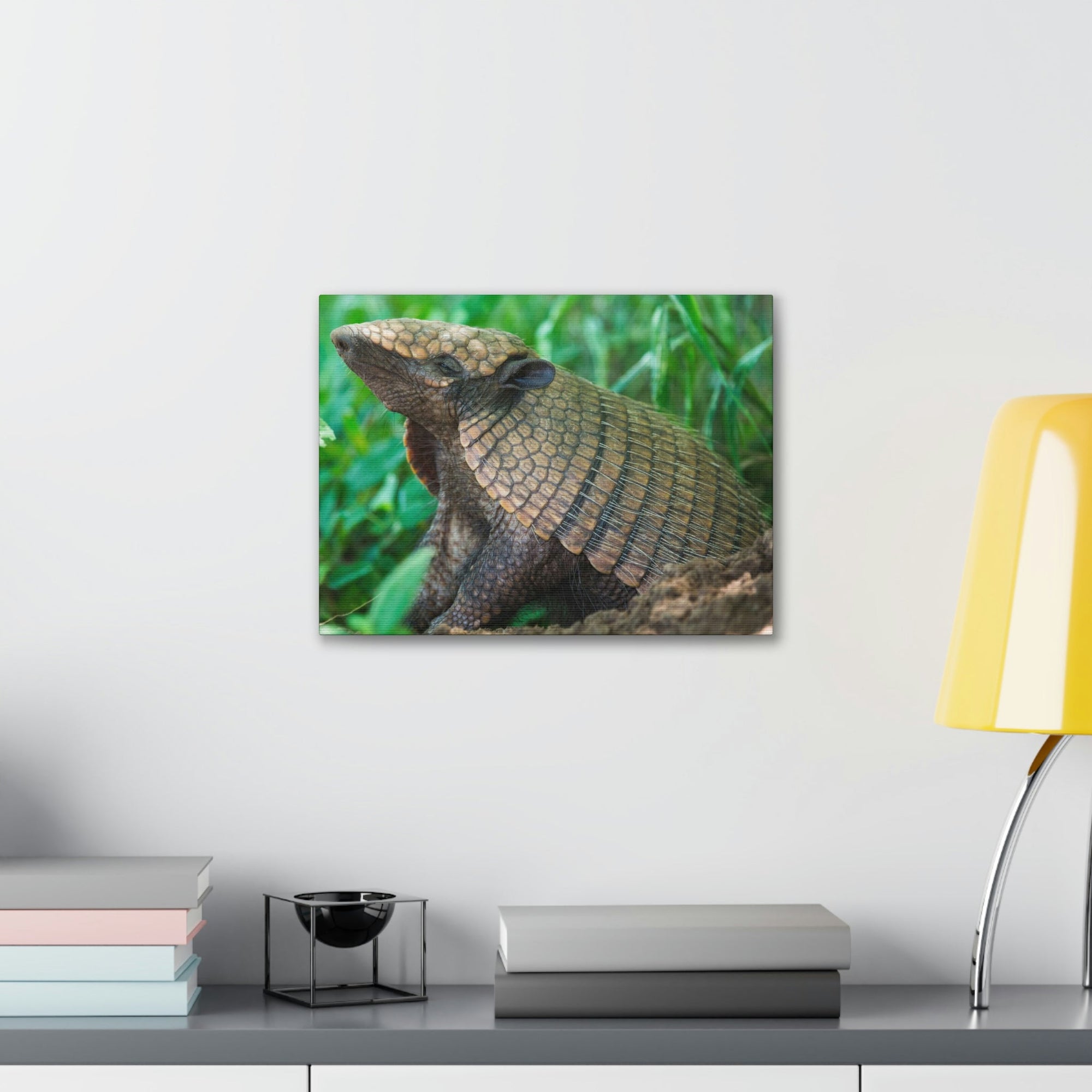 Funny Armadillo Silly Armadillo Outside Wall Art Ready to Hang Unframed-Express Your Love Gifts