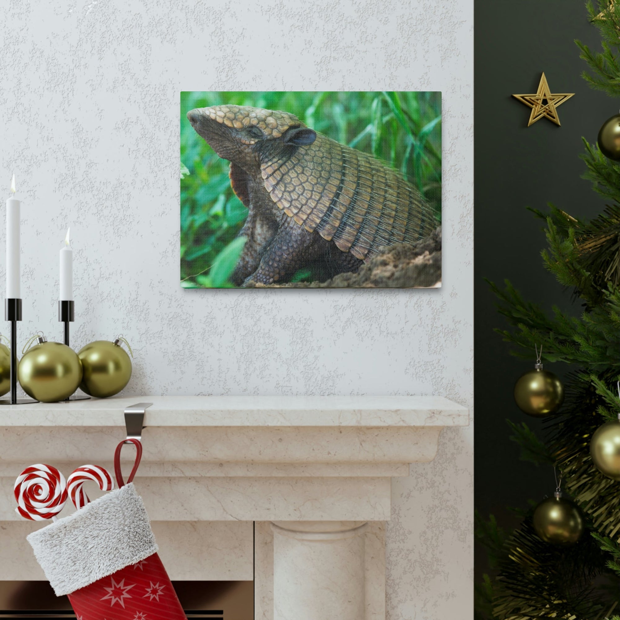 Funny Armadillo Silly Armadillo Outside Wall Art Ready to Hang Unframed-Express Your Love Gifts