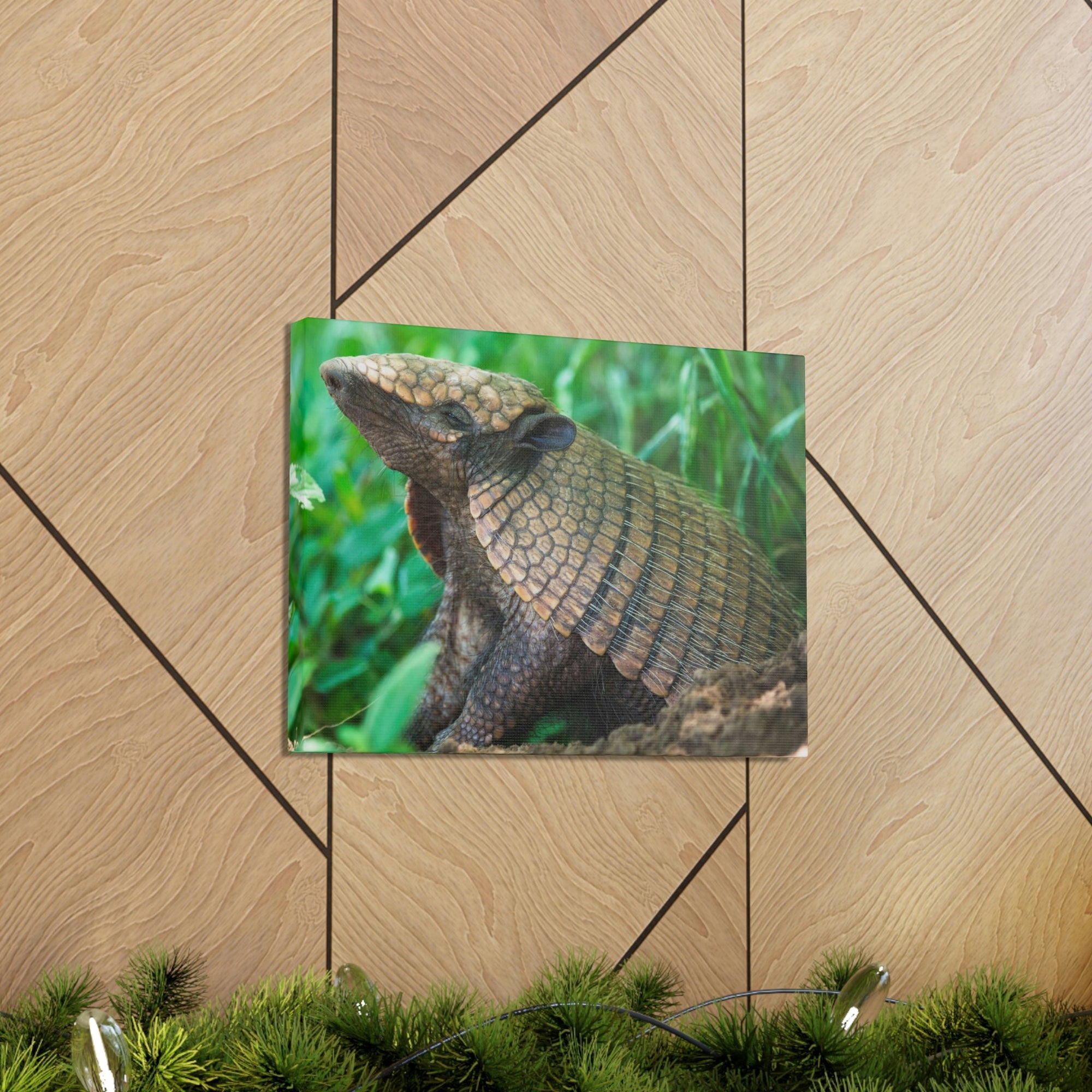 Funny Armadillo Silly Armadillo Outside Wall Art Ready to Hang Unframed-Express Your Love Gifts