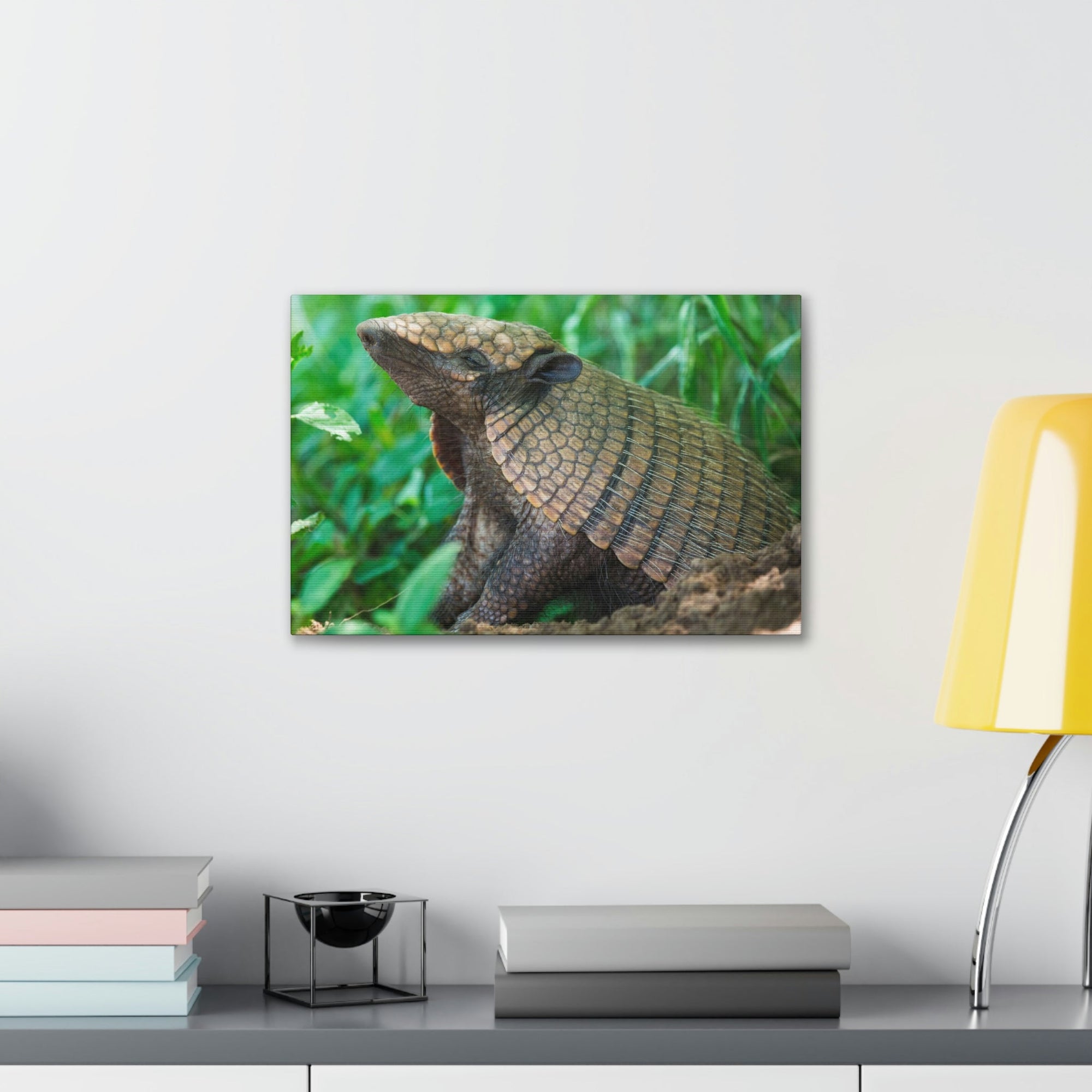 Funny Armadillo Silly Armadillo Outside Wall Art Ready to Hang Unframed-Express Your Love Gifts