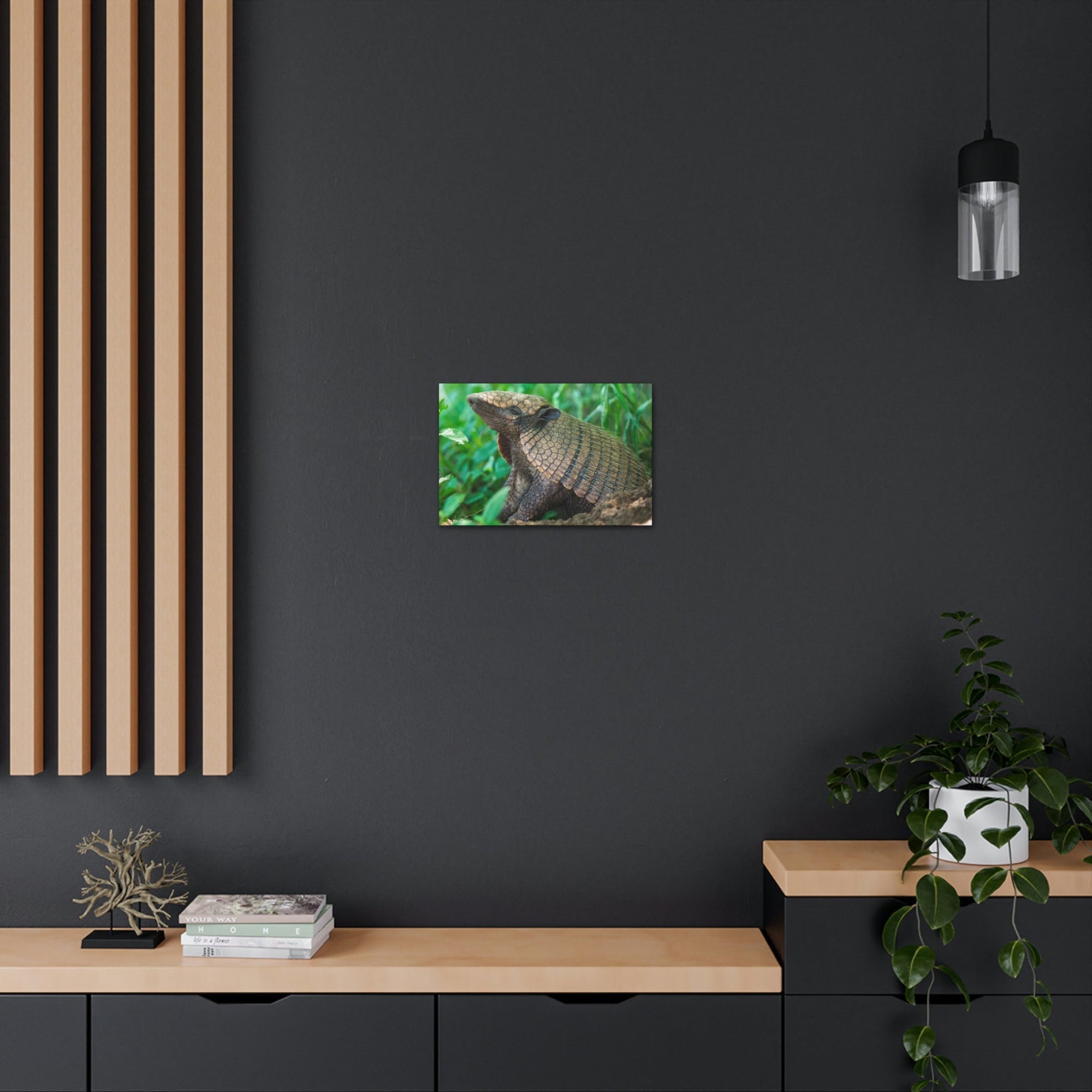 Funny Armadillo Silly Armadillo Outside Wall Art Ready to Hang Unframed-Express Your Love Gifts