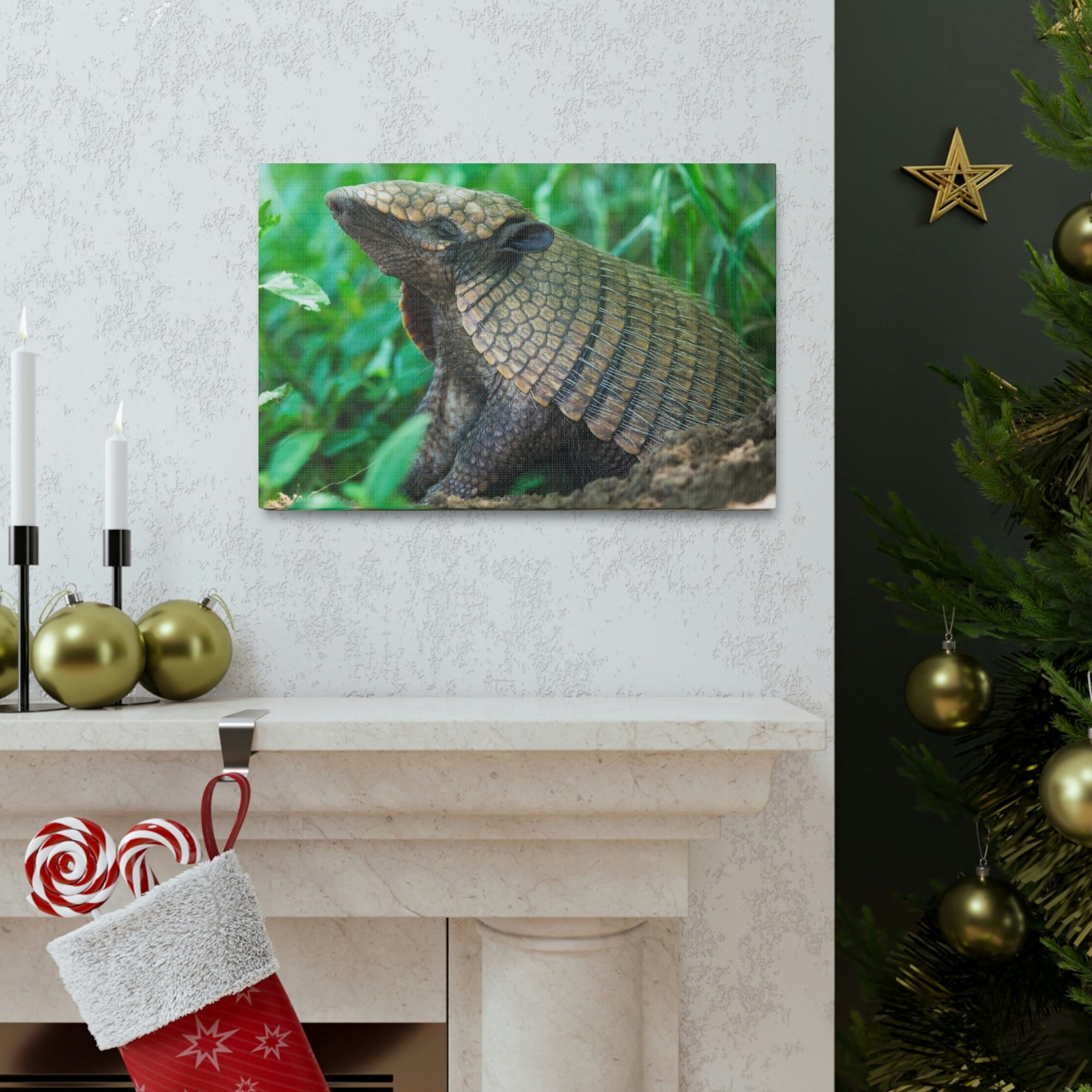 Funny Armadillo Silly Armadillo Outside Wall Art Ready to Hang Unframed-Express Your Love Gifts