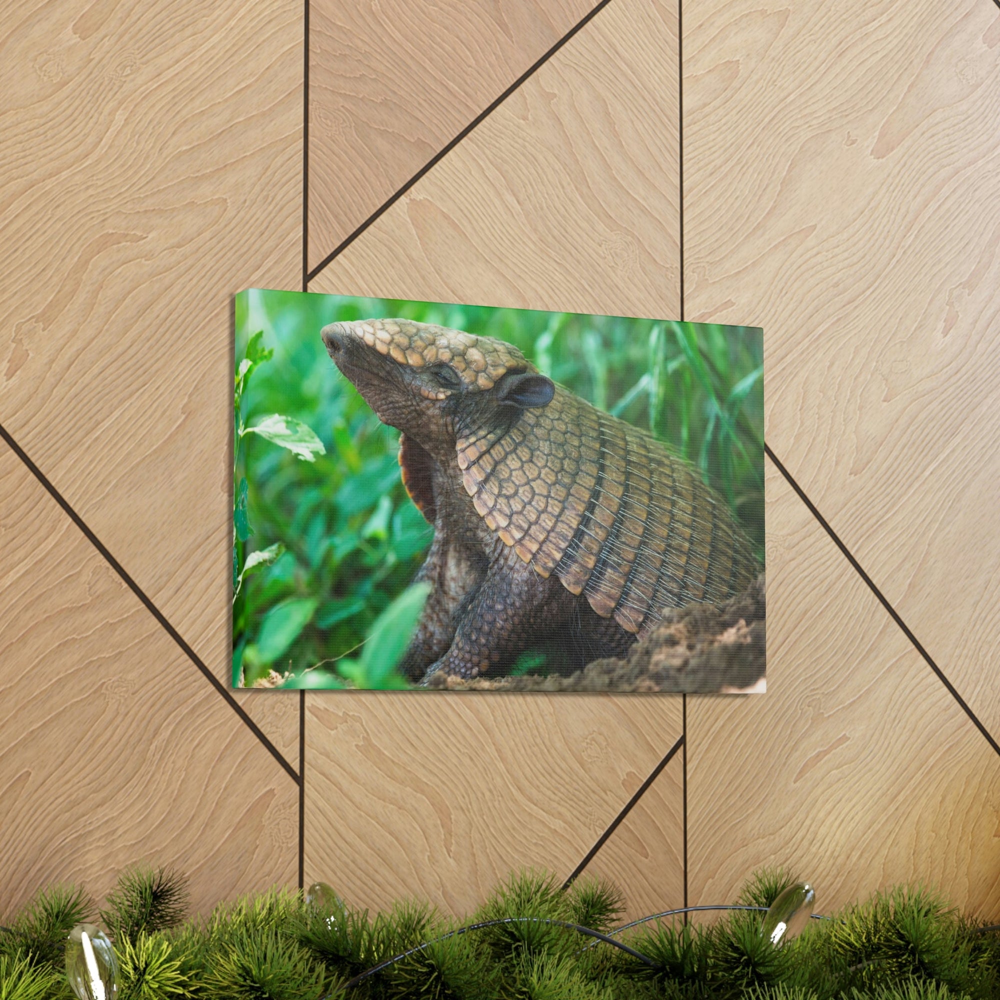 Funny Armadillo Silly Armadillo Outside Wall Art Ready to Hang Unframed-Express Your Love Gifts