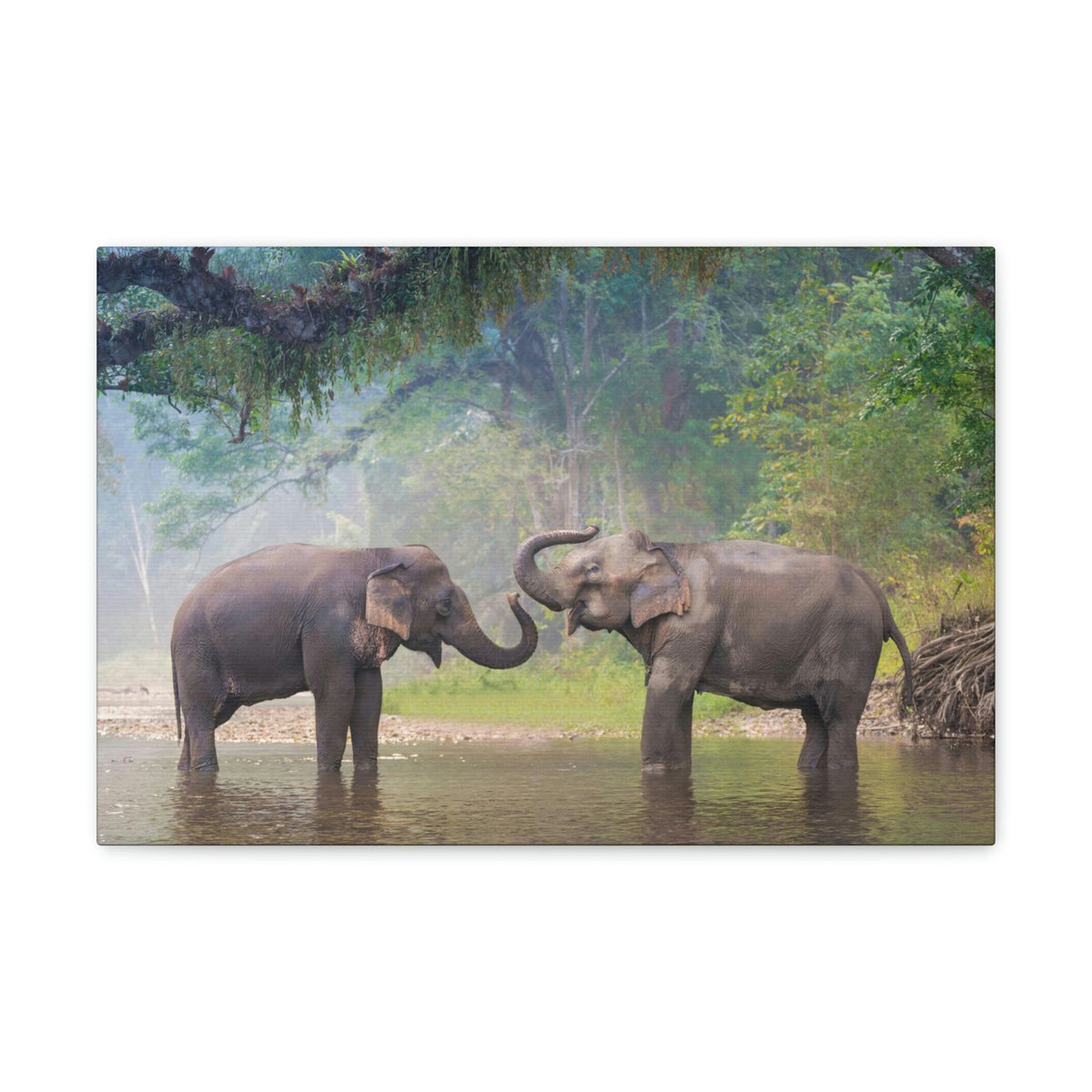 Funny Asian Elephant Silly Asian Elephant Couple Wall Art Ready to Hang Unframed-Express Your Love Gifts