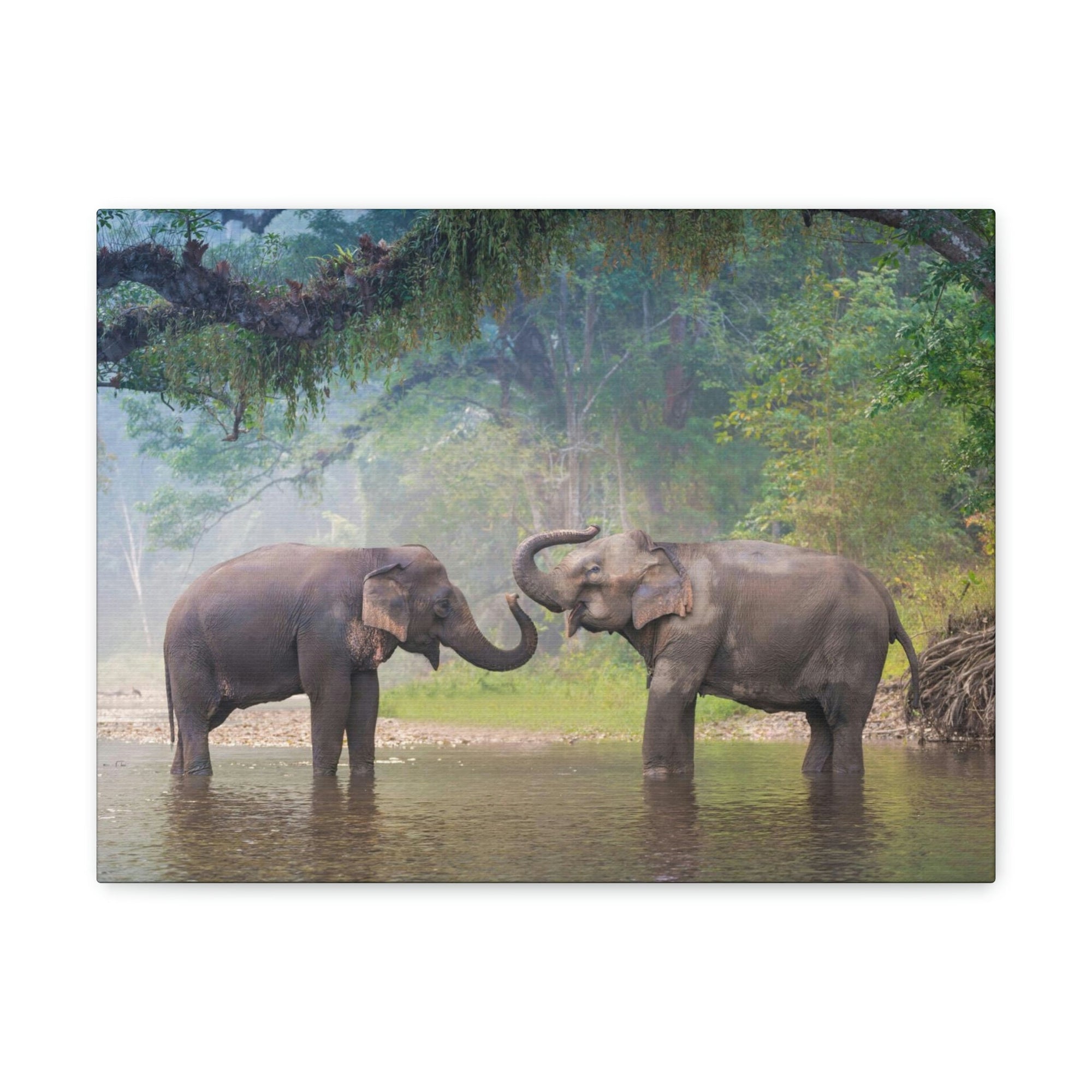 Funny Asian Elephant Silly Asian Elephant Couple Wall Art Ready to Hang Unframed-Express Your Love Gifts