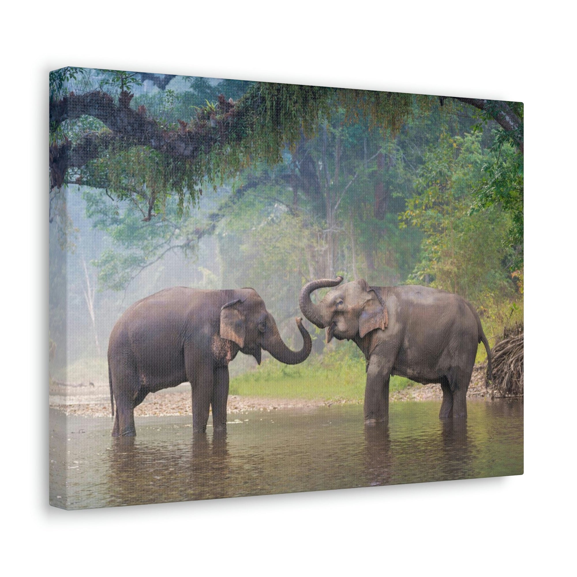 Funny Asian Elephant Silly Asian Elephant Couple Wall Art Ready to Hang Unframed-Express Your Love Gifts