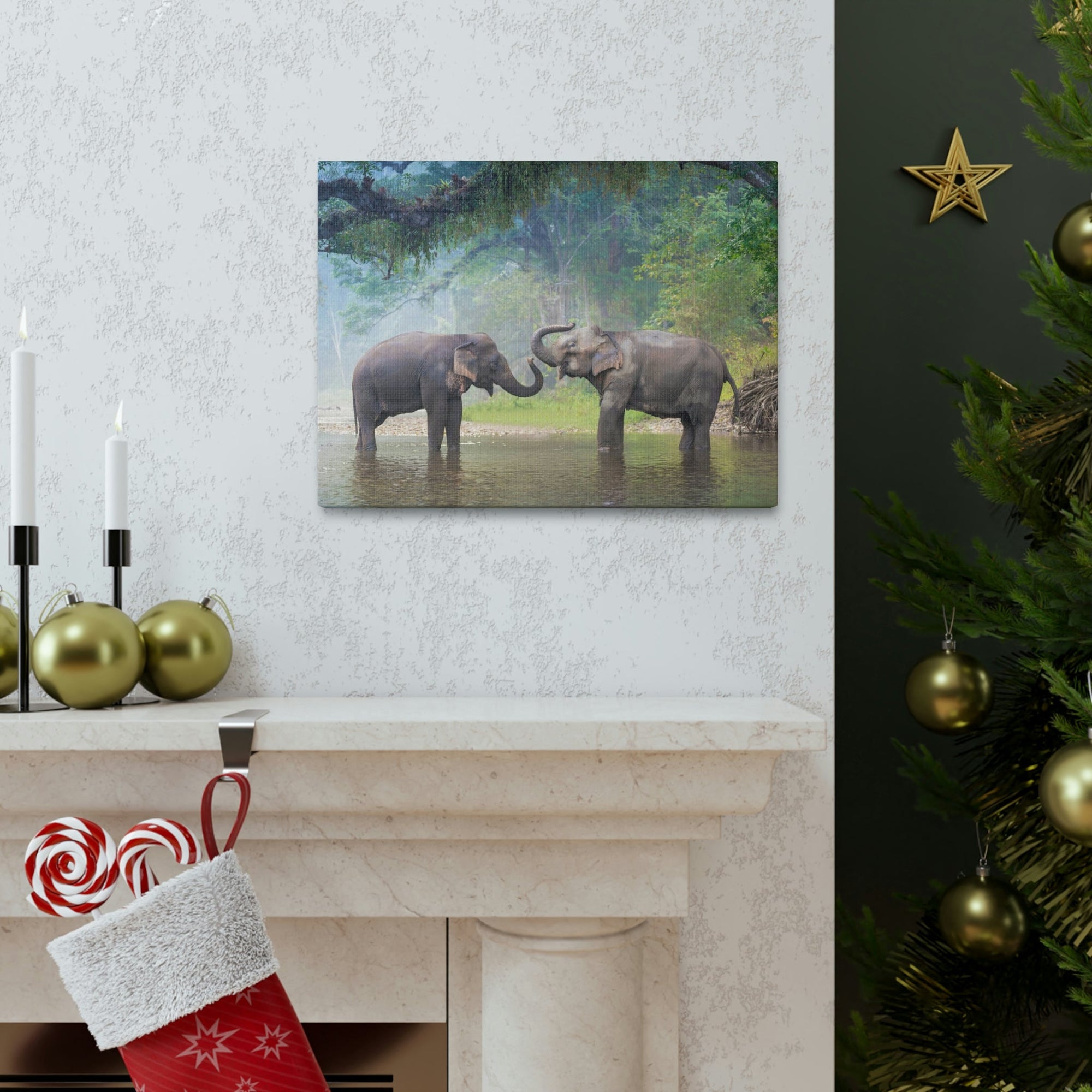 Funny Asian Elephant Silly Asian Elephant Couple Wall Art Ready to Hang Unframed-Express Your Love Gifts