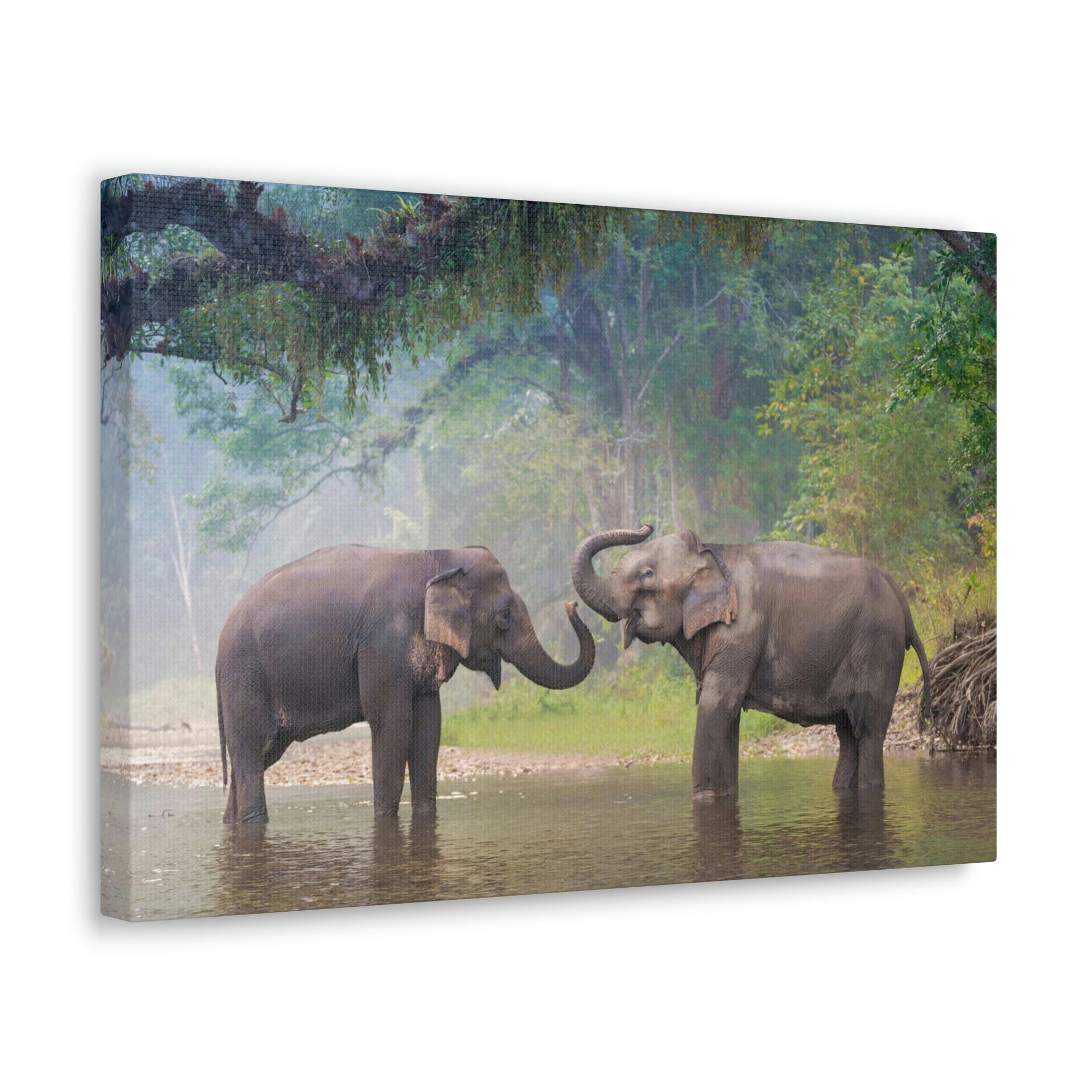 Funny Asian Elephant Silly Asian Elephant Couple Wall Art Ready to Hang Unframed-Express Your Love Gifts