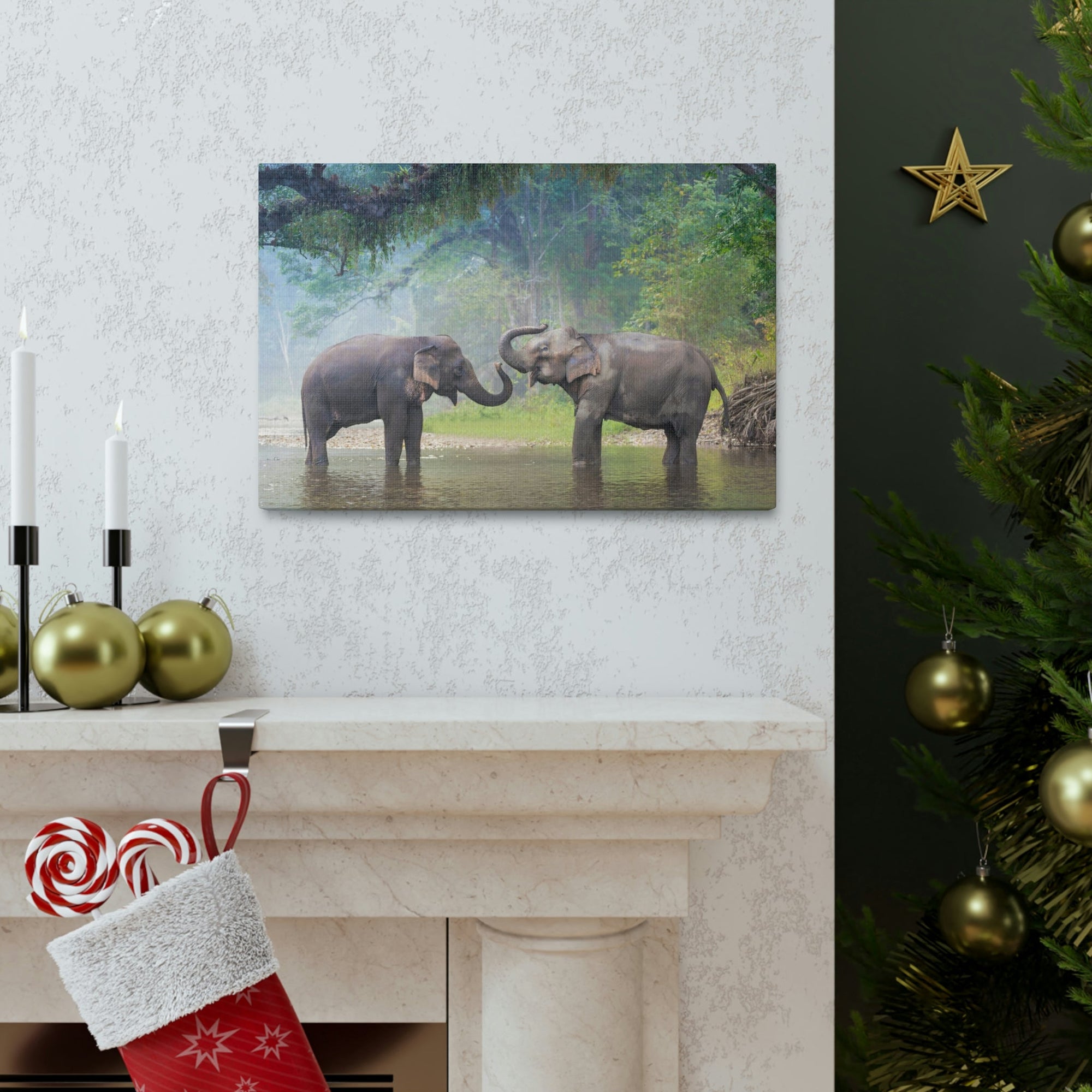 Funny Asian Elephant Silly Asian Elephant Couple Wall Art Ready to Hang Unframed-Express Your Love Gifts