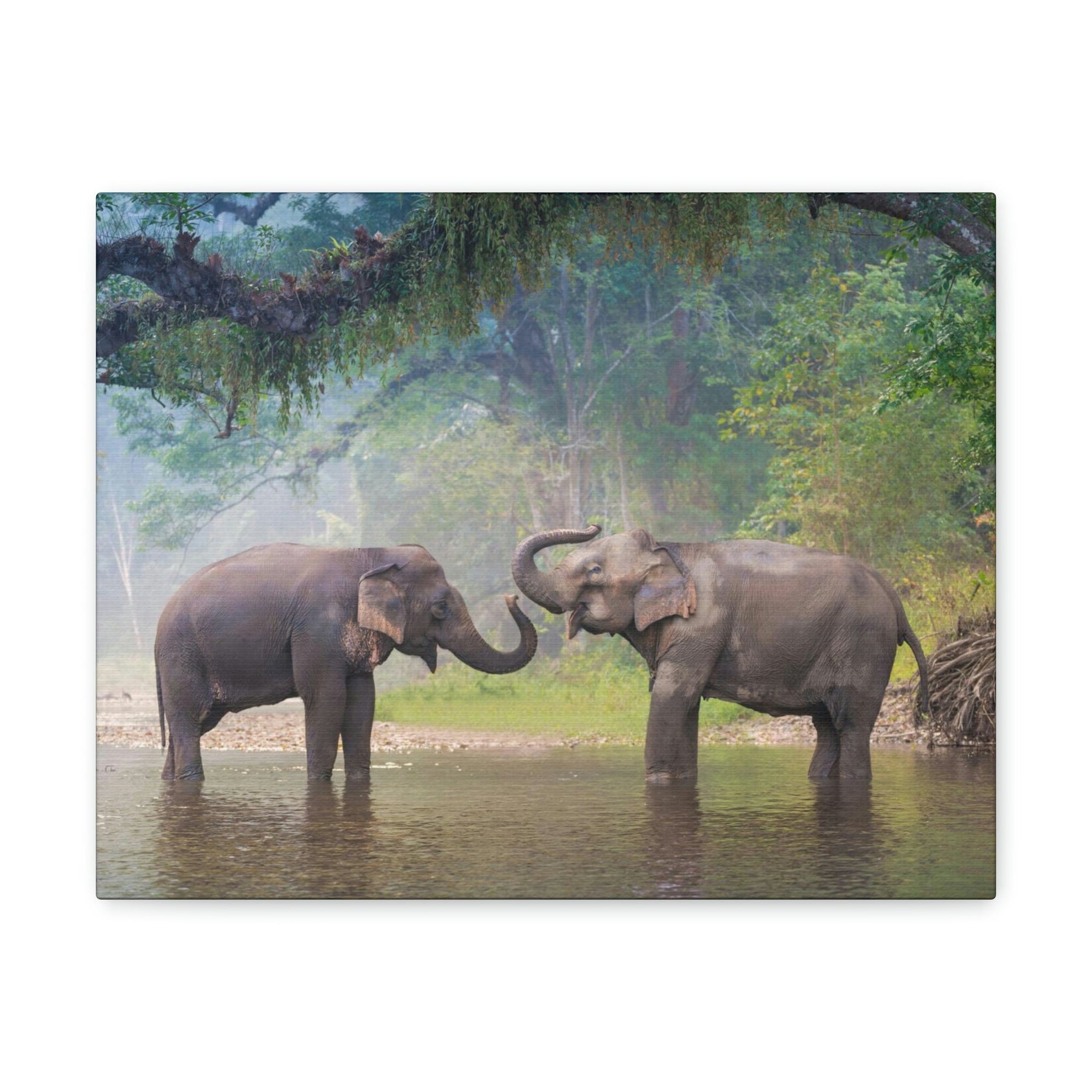 Funny Asian Elephant Silly Asian Elephant Couple Wall Art Ready to Hang Unframed-Express Your Love Gifts