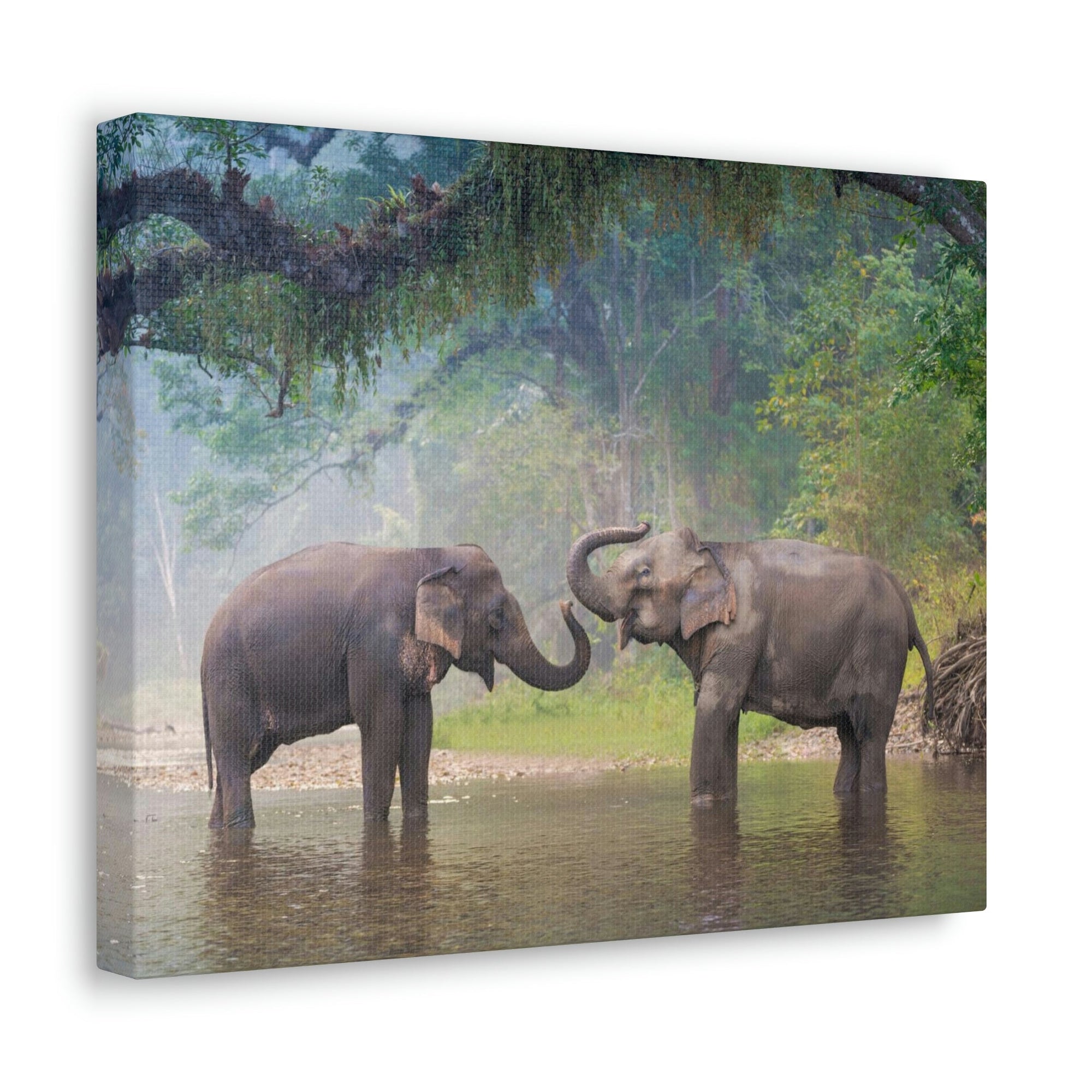 Funny Asian Elephant Silly Asian Elephant Couple Wall Art Ready to Hang Unframed-Express Your Love Gifts