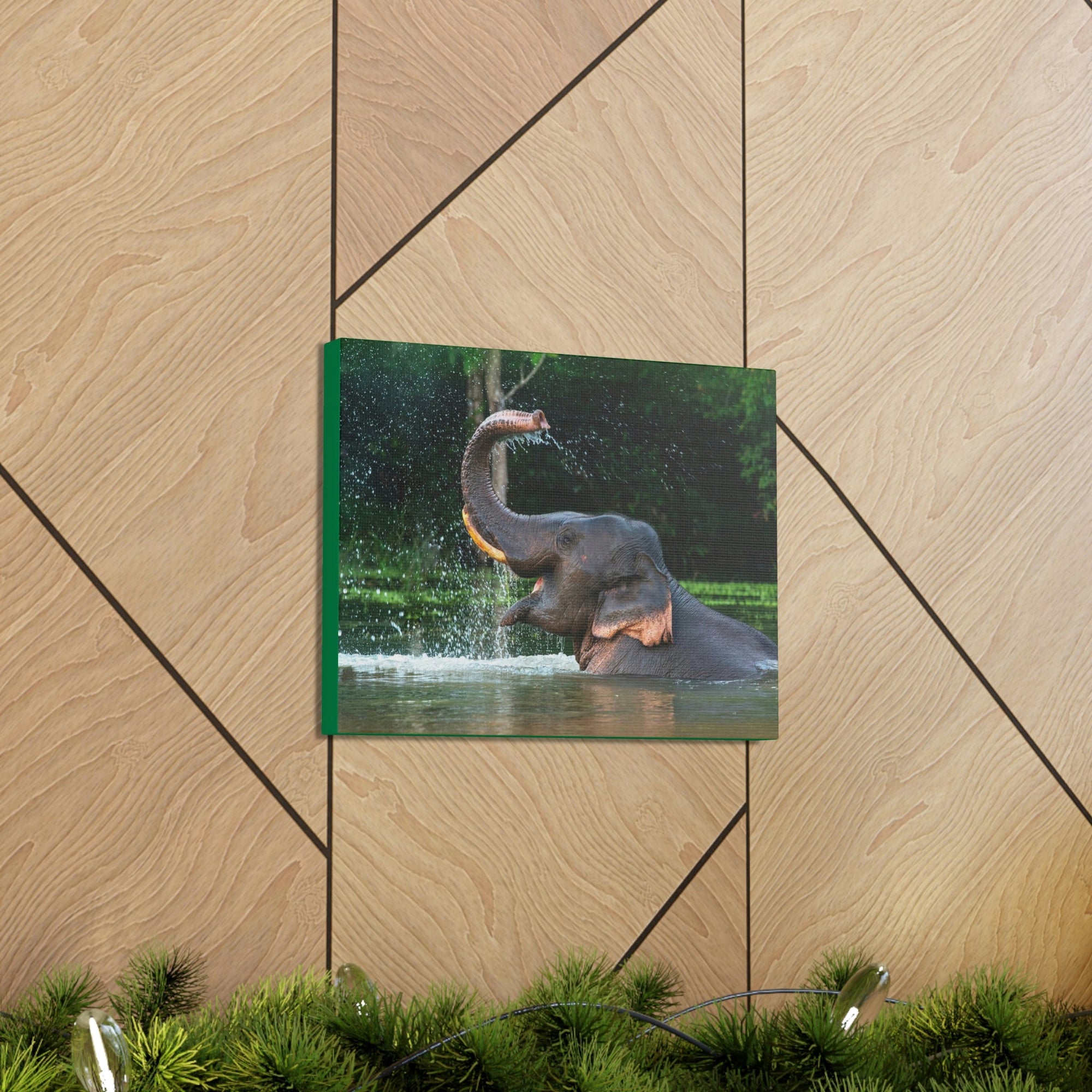 Funny Asian Elephant Silly Asian Elephant Outside wall Art Ready to Hang Unframed-Express Your Love Gifts