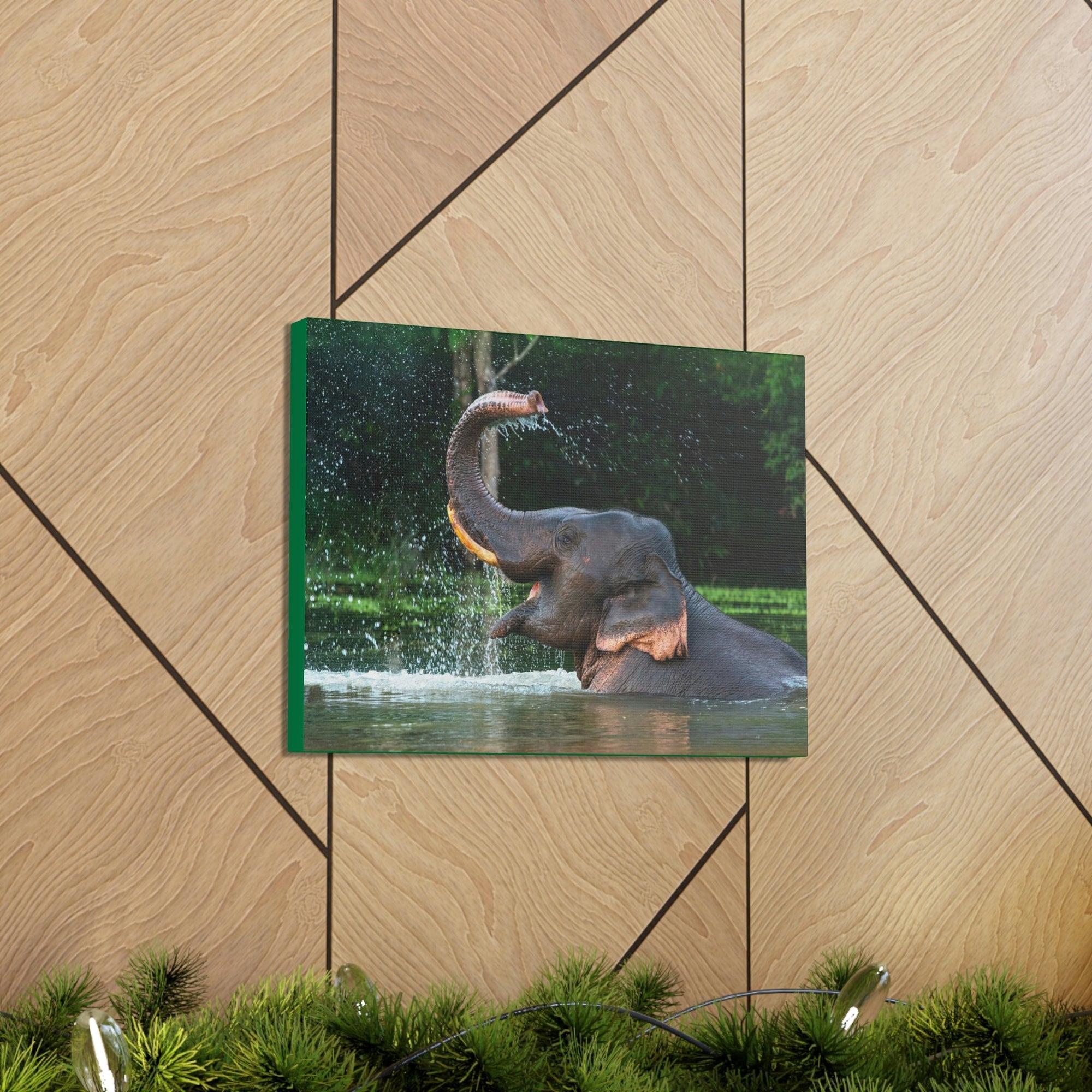 Funny Asian Elephant Silly Asian Elephant Outside wall Art Ready to Hang Unframed-Express Your Love Gifts