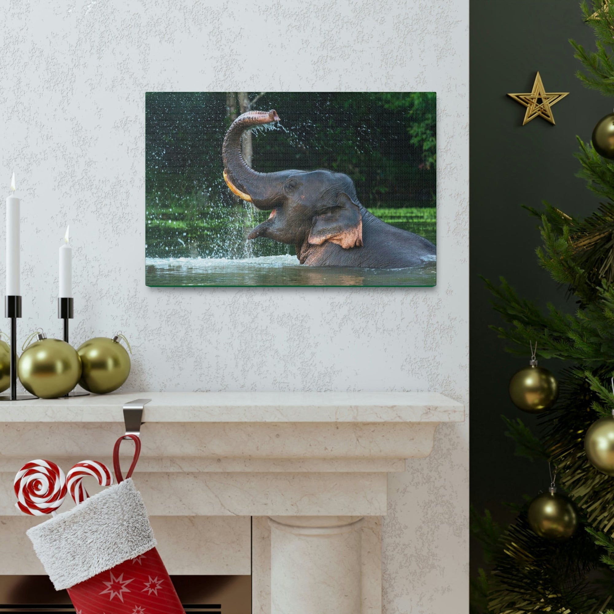 Funny Asian Elephant Silly Asian Elephant Outside wall Art Ready to Hang Unframed-Express Your Love Gifts