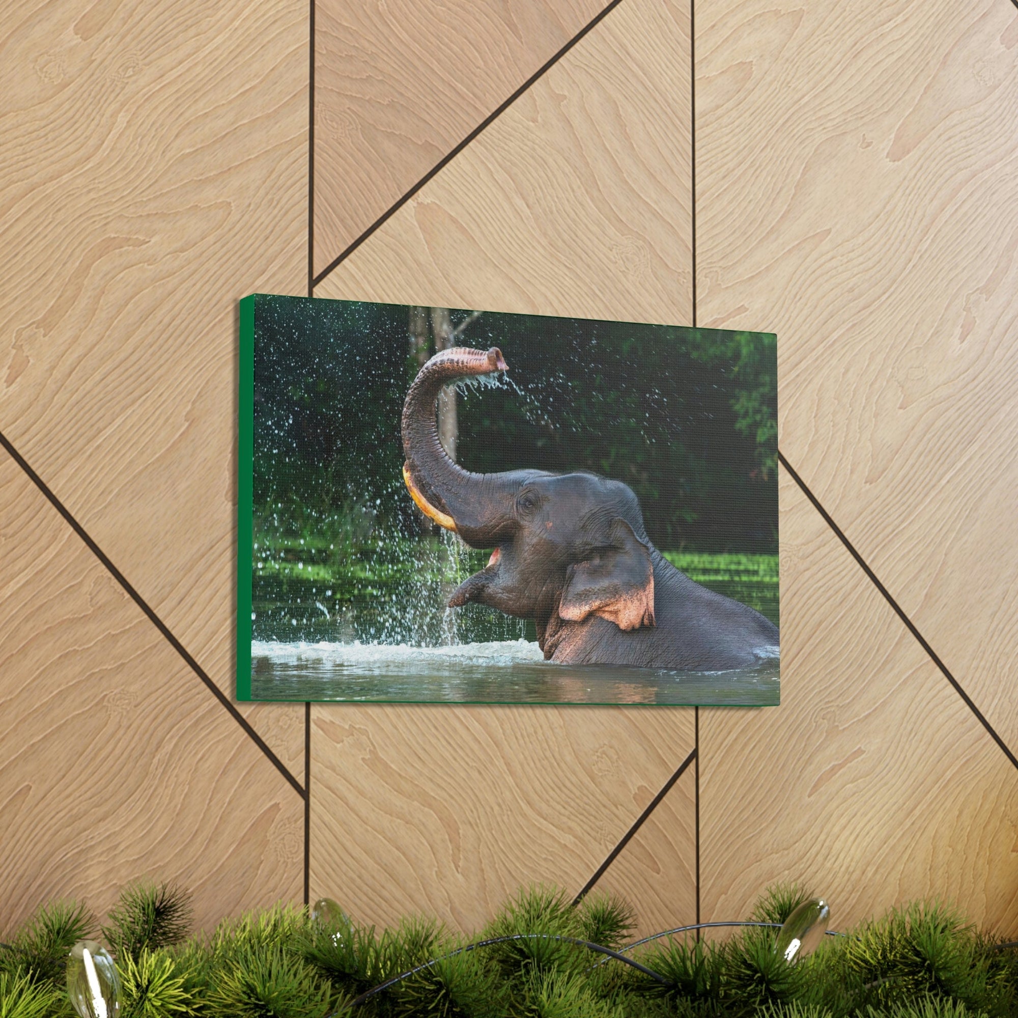 Funny Asian Elephant Silly Asian Elephant Outside wall Art Ready to Hang Unframed-Express Your Love Gifts