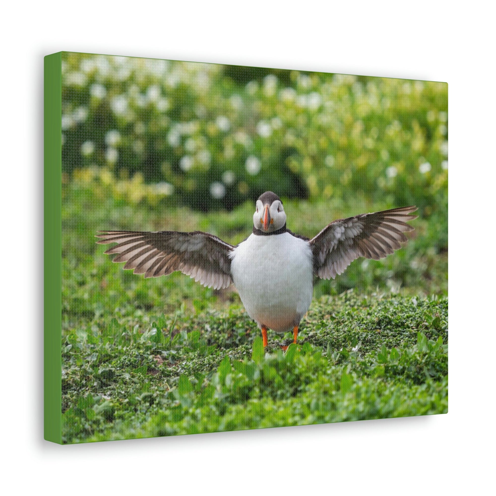 Funny Atlantic Puffin Outside Wall Art Ready to Hang Unframed-Express Your Love Gifts