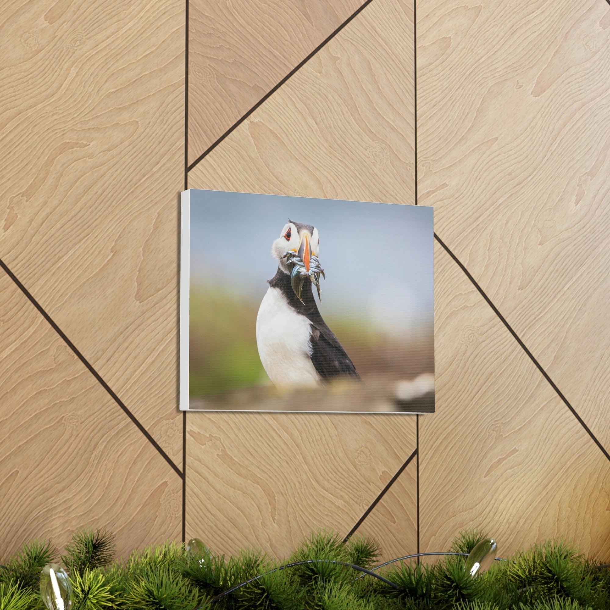 Funny Atlantic Puffin Silly Atlantic Puffin Inside Wall Art Ready to Hang Unframed-Express Your Love Gifts