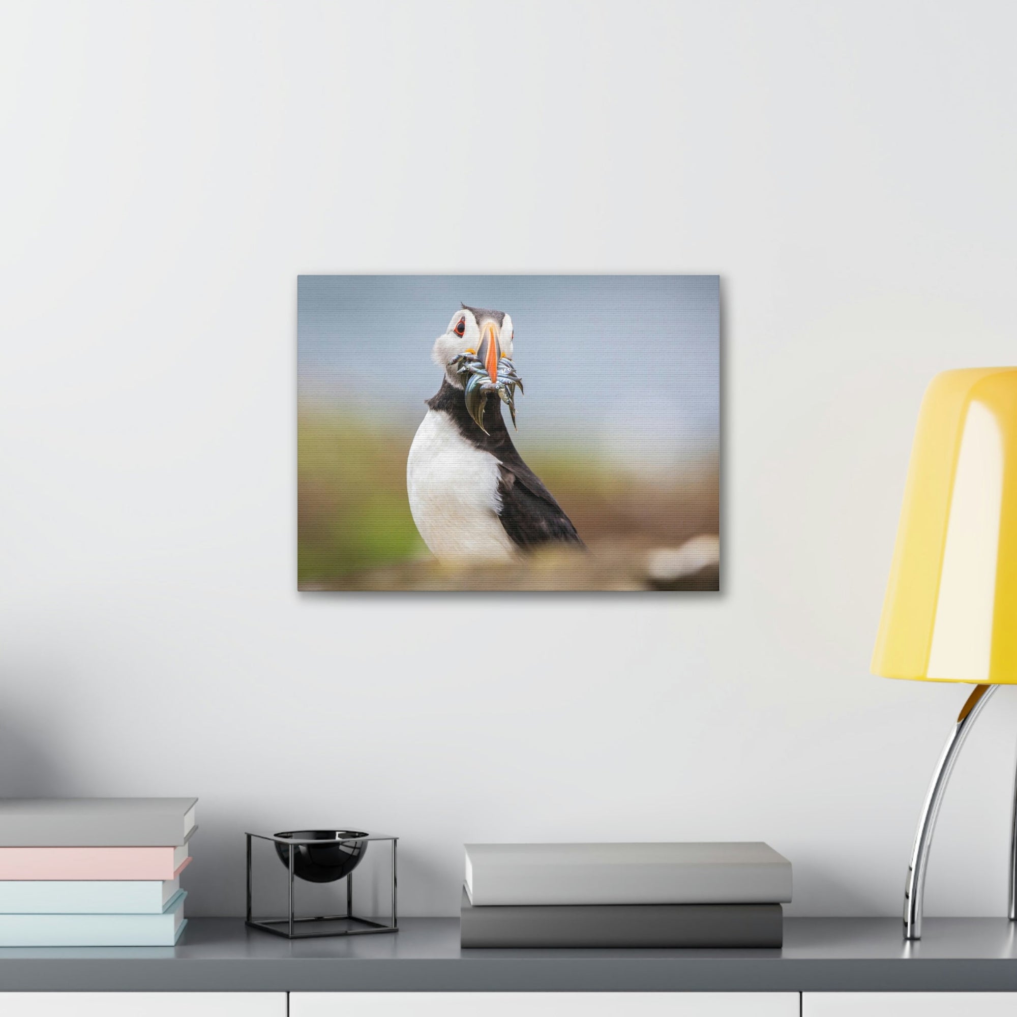 Funny Atlantic Puffin Silly Atlantic Puffin Inside Wall Art Ready to Hang Unframed-Express Your Love Gifts