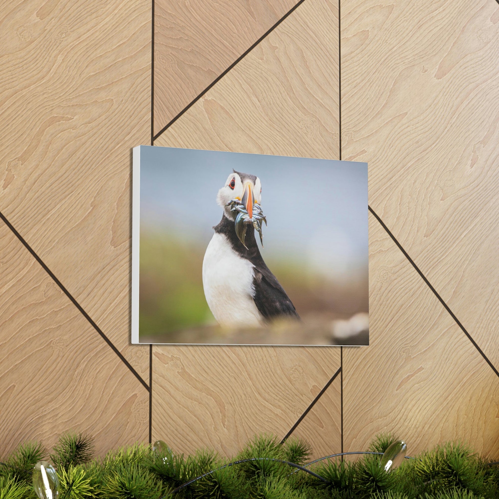 Funny Atlantic Puffin Silly Atlantic Puffin Inside Wall Art Ready to Hang Unframed-Express Your Love Gifts