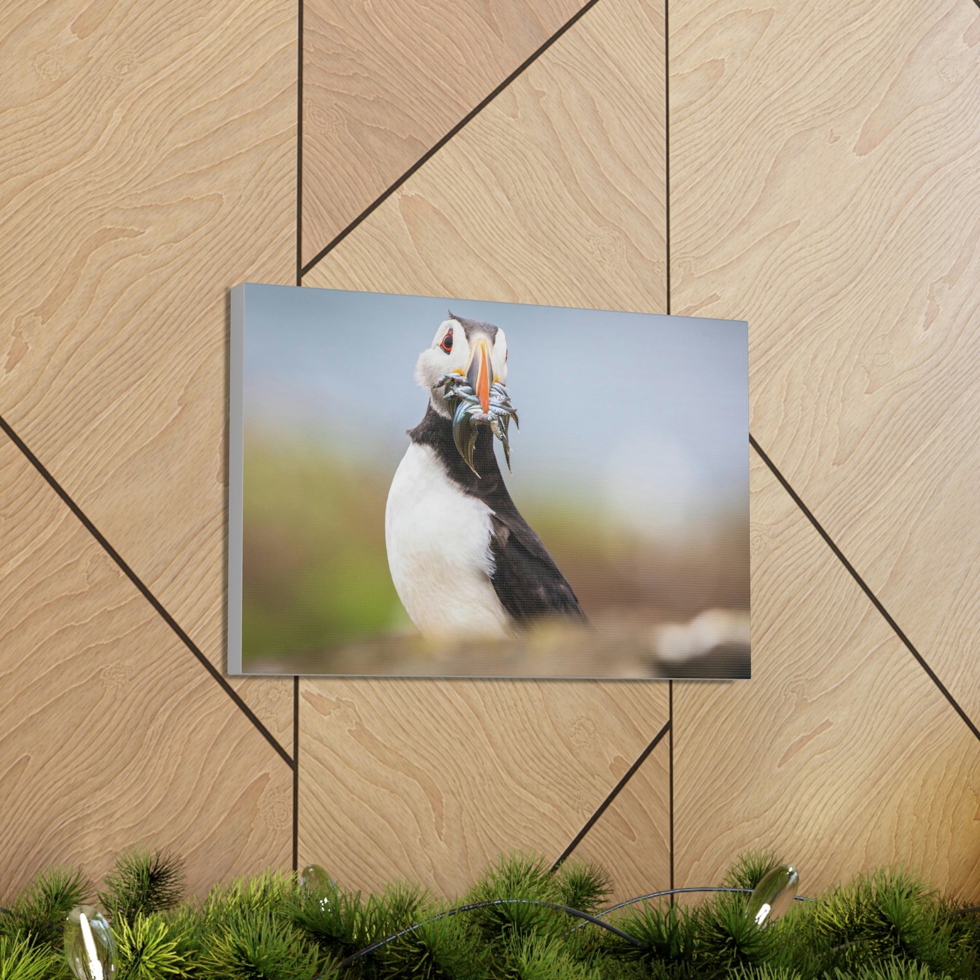 Funny Atlantic Puffin Silly Atlantic Puffin Inside Wall Art Ready to Hang Unframed-Express Your Love Gifts