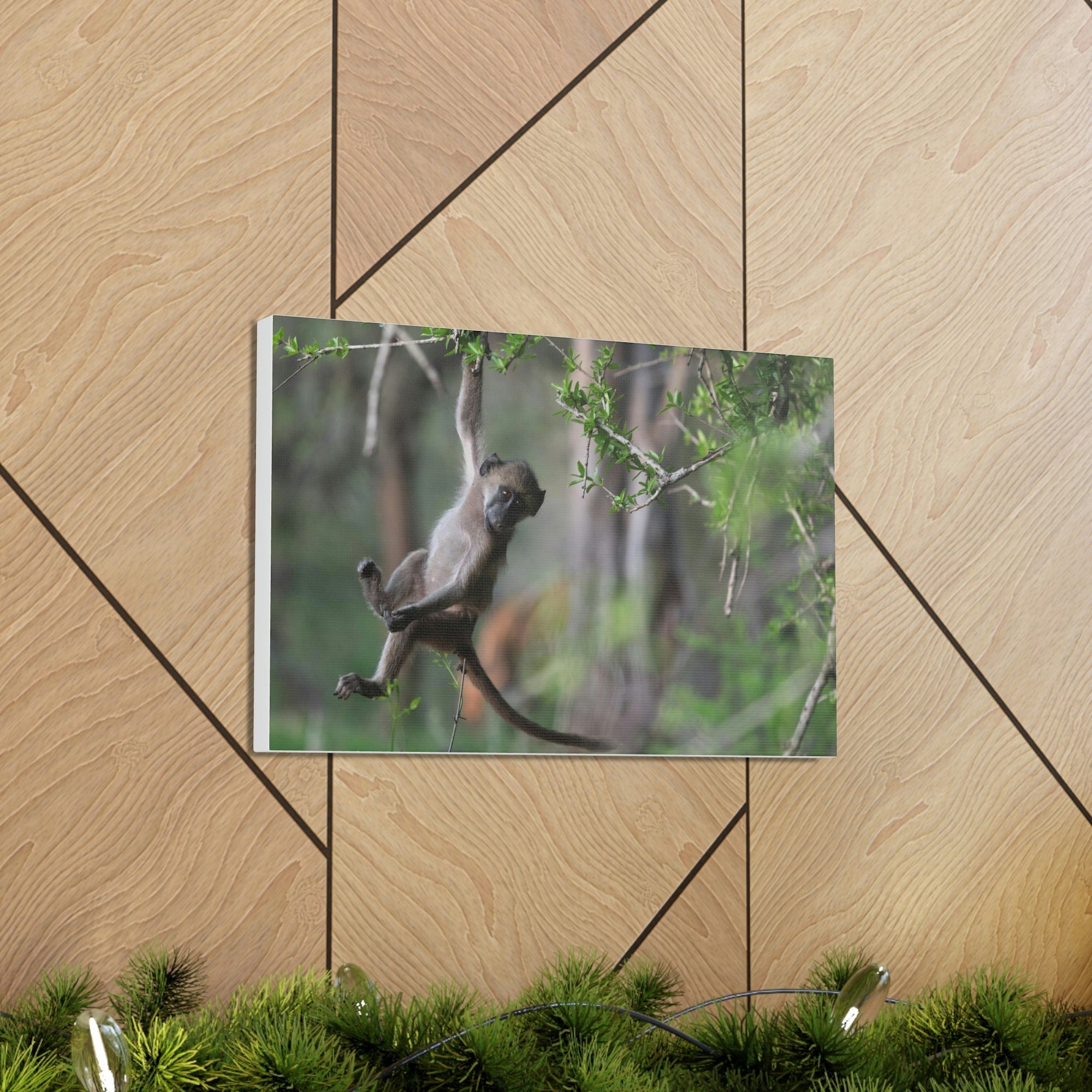 Funny Baboon Outside Wall Art Ready to Hang Unframed-Express Your Love Gifts