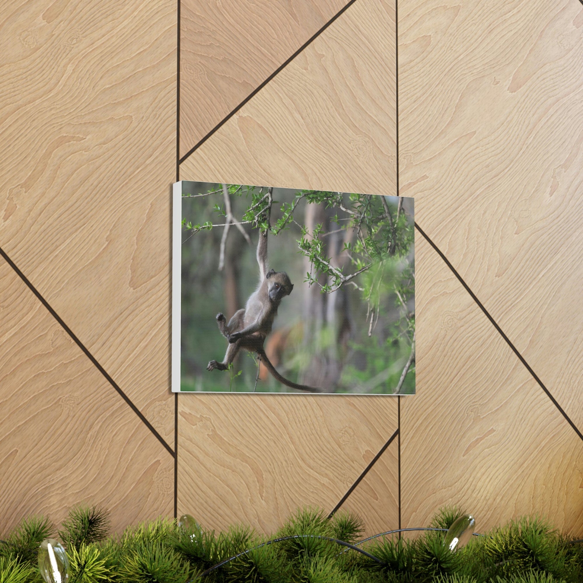 Funny Baboon Outside Wall Art Ready to Hang Unframed-Express Your Love Gifts