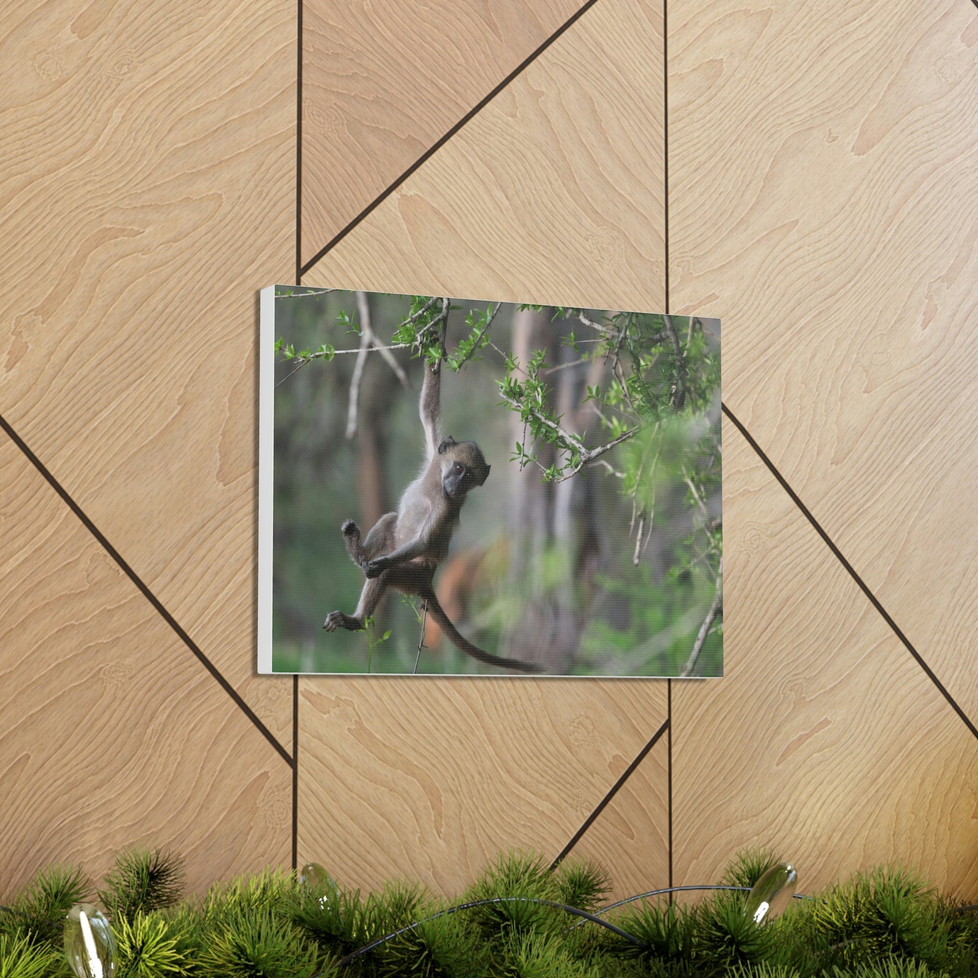 Funny Baboon Outside Wall Art Ready to Hang Unframed-Express Your Love Gifts