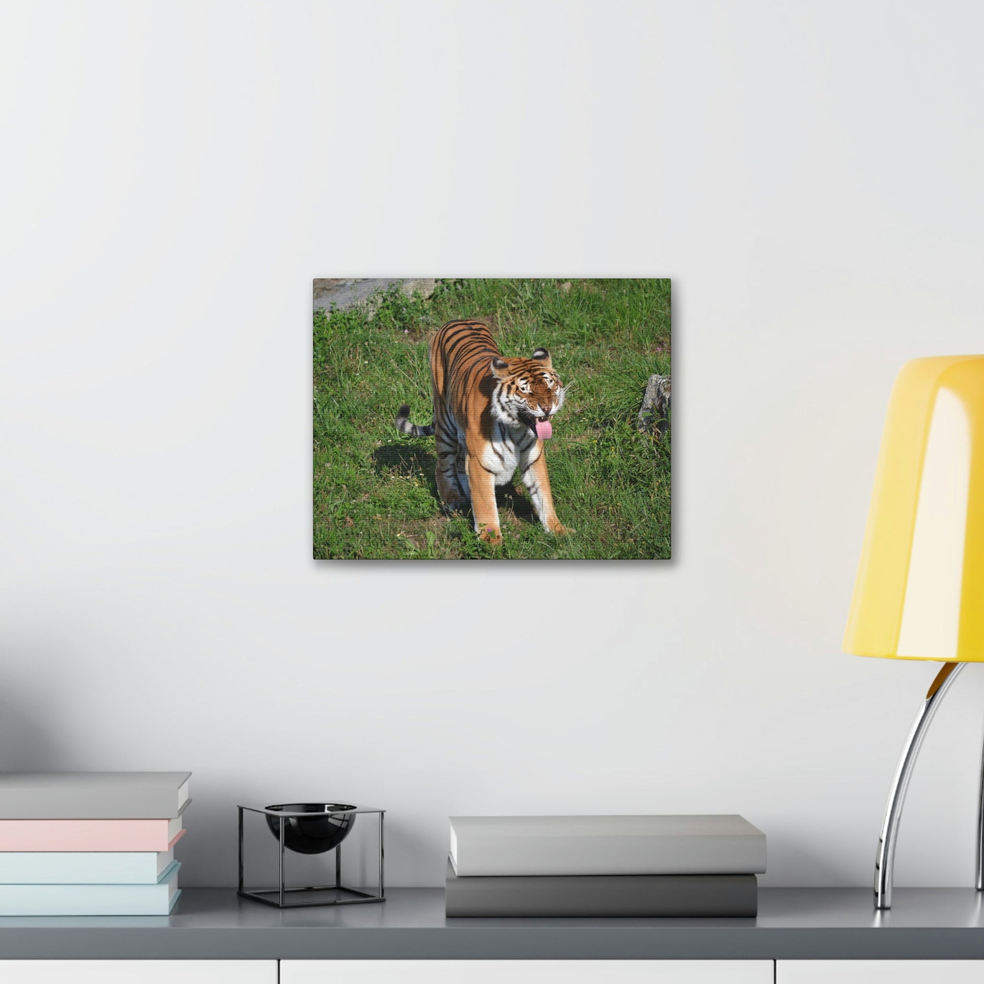 Funny Bangle Tiger in a Zoo Outside Wall Art Ready to Hang Unframed-Express Your Love Gifts