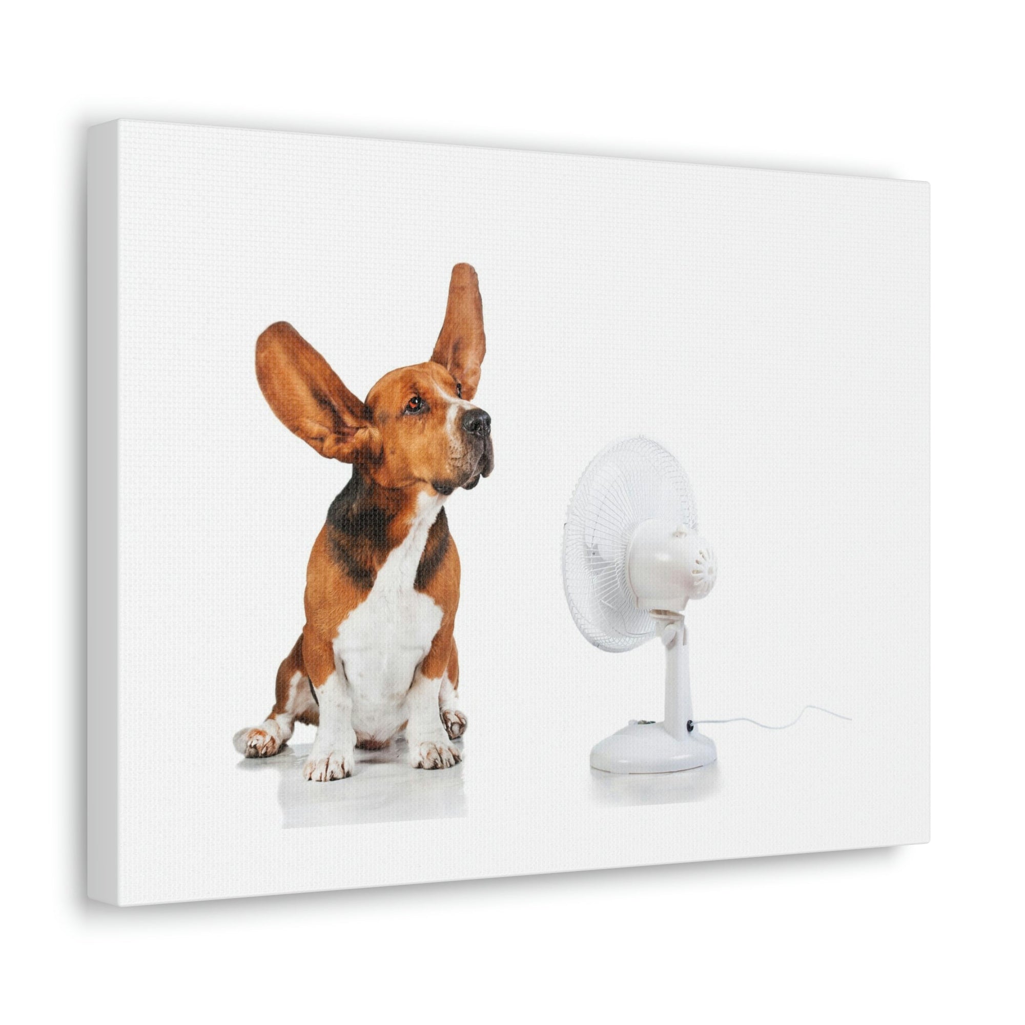 Scripture Walls Funny Basset Hound With Flying Ear Print Animal Wall Art Wildlife Canvas Prints Wall Art Ready to Hang Unframed-Express Your Love Gifts