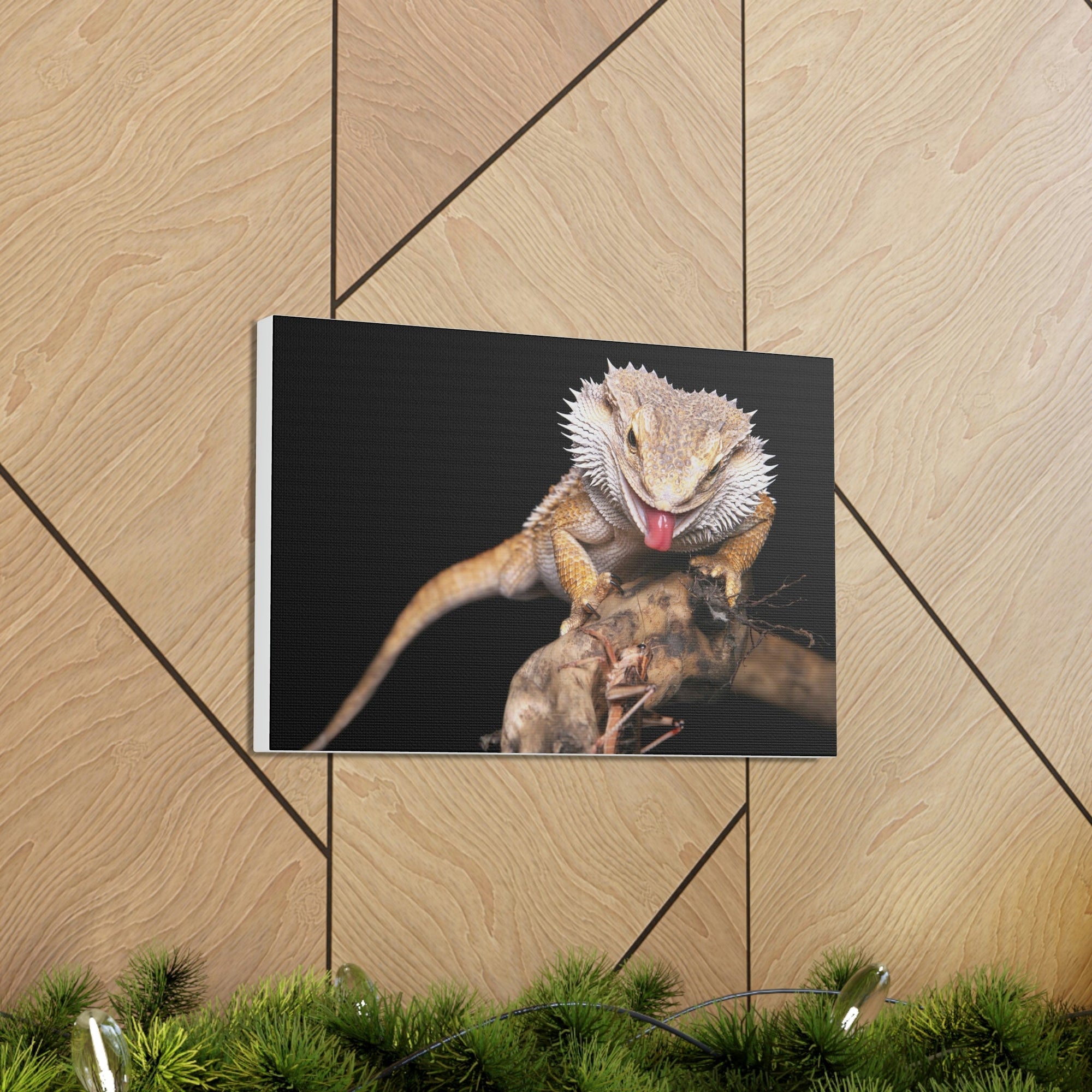 Scripture Walls Funny Bearded Dragon Print Animal Wall Art Wildlife Canvas Prints Wall Art Ready to Hang Unframed-Express Your Love Gifts