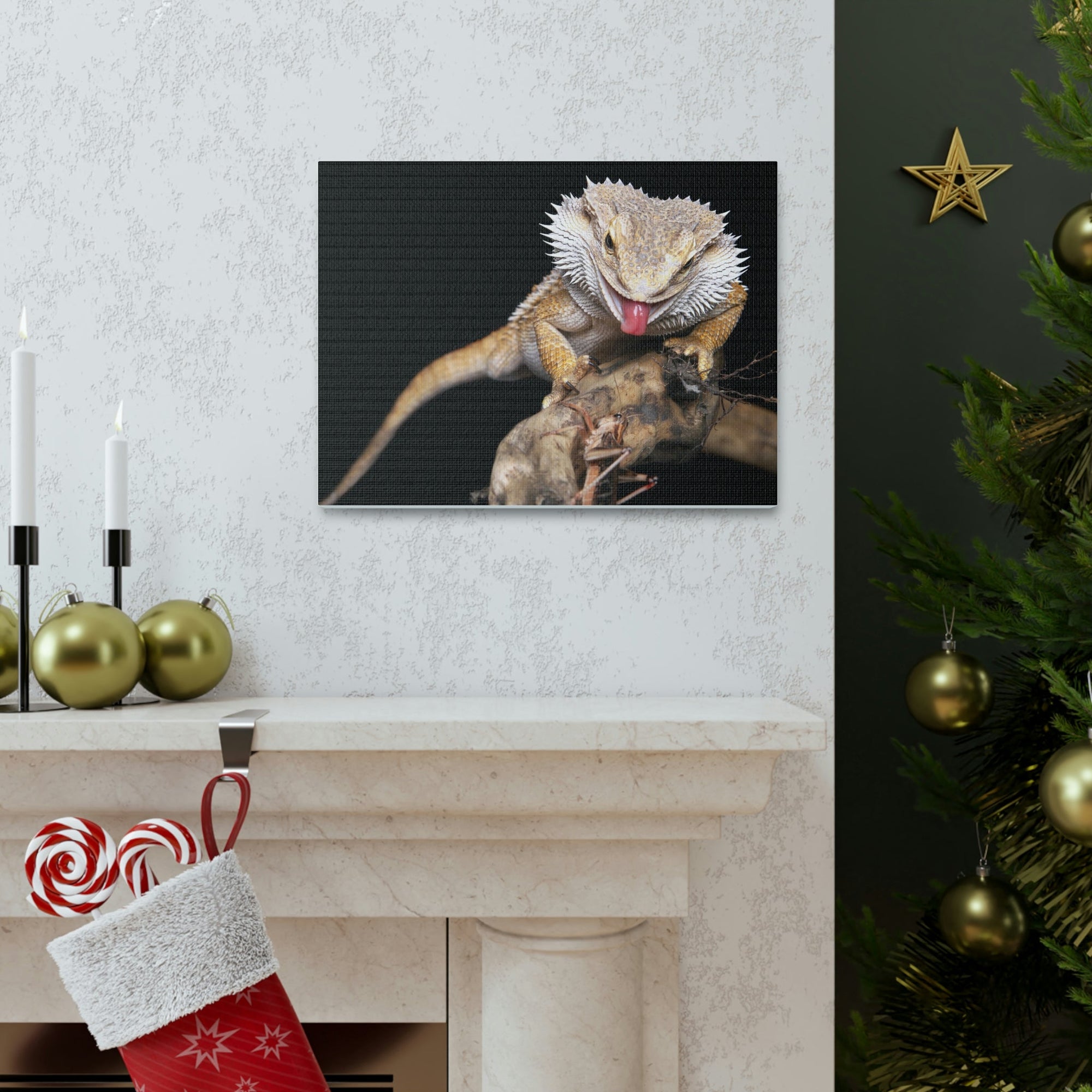 Scripture Walls Funny Bearded Dragon Print Animal Wall Art Wildlife Canvas Prints Wall Art Ready to Hang Unframed-Express Your Love Gifts