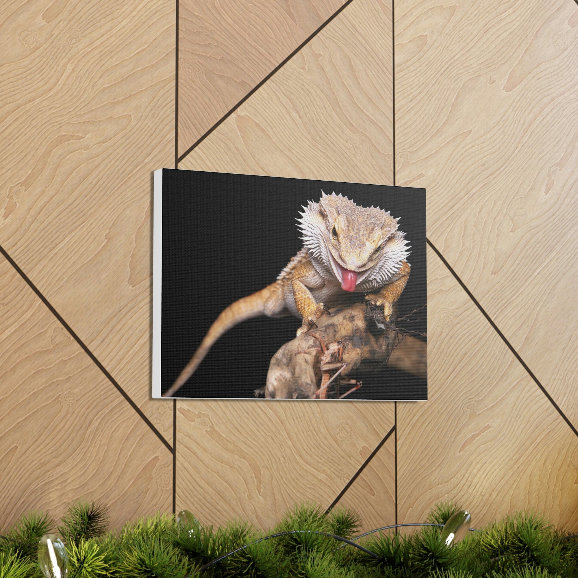 Scripture Walls Funny Bearded Dragon Print Animal Wall Art Wildlife Canvas Prints Wall Art Ready to Hang Unframed-Express Your Love Gifts