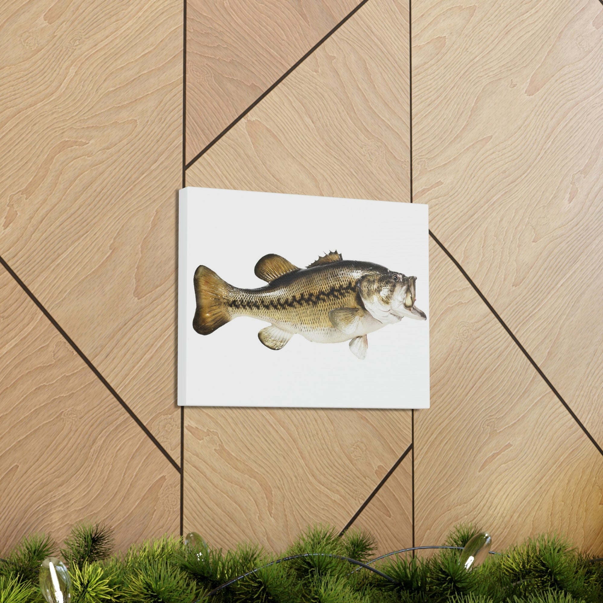 Scripture Walls Funny Isolated Bass Print Animal Wall Art Wildlife Canvas Prints Wall Art Ready to Hang Unframed-Express Your Love Gifts