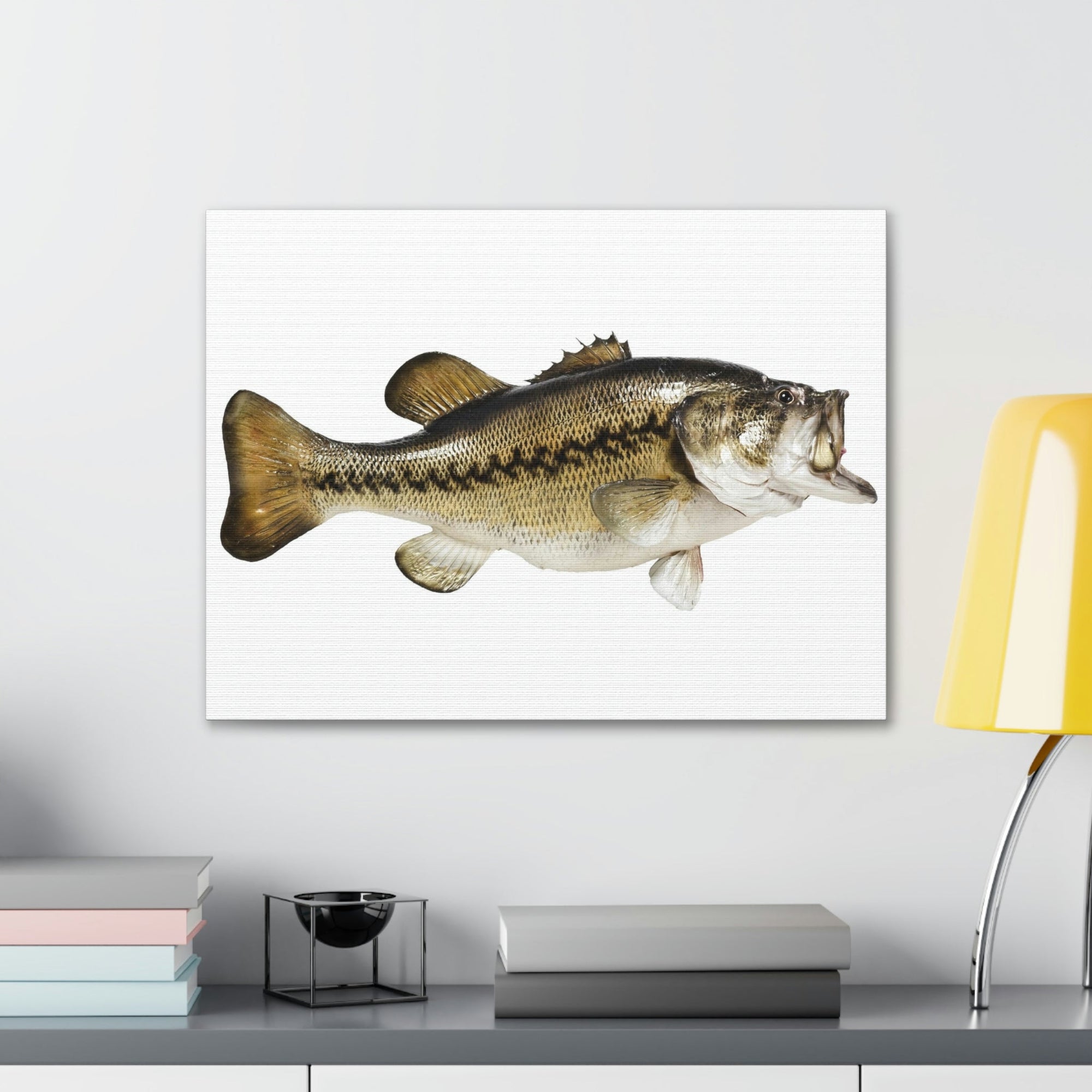 Scripture Walls Funny Isolated Bass Print Animal Wall Art Wildlife Canvas Prints Wall Art Ready to Hang Unframed-Express Your Love Gifts