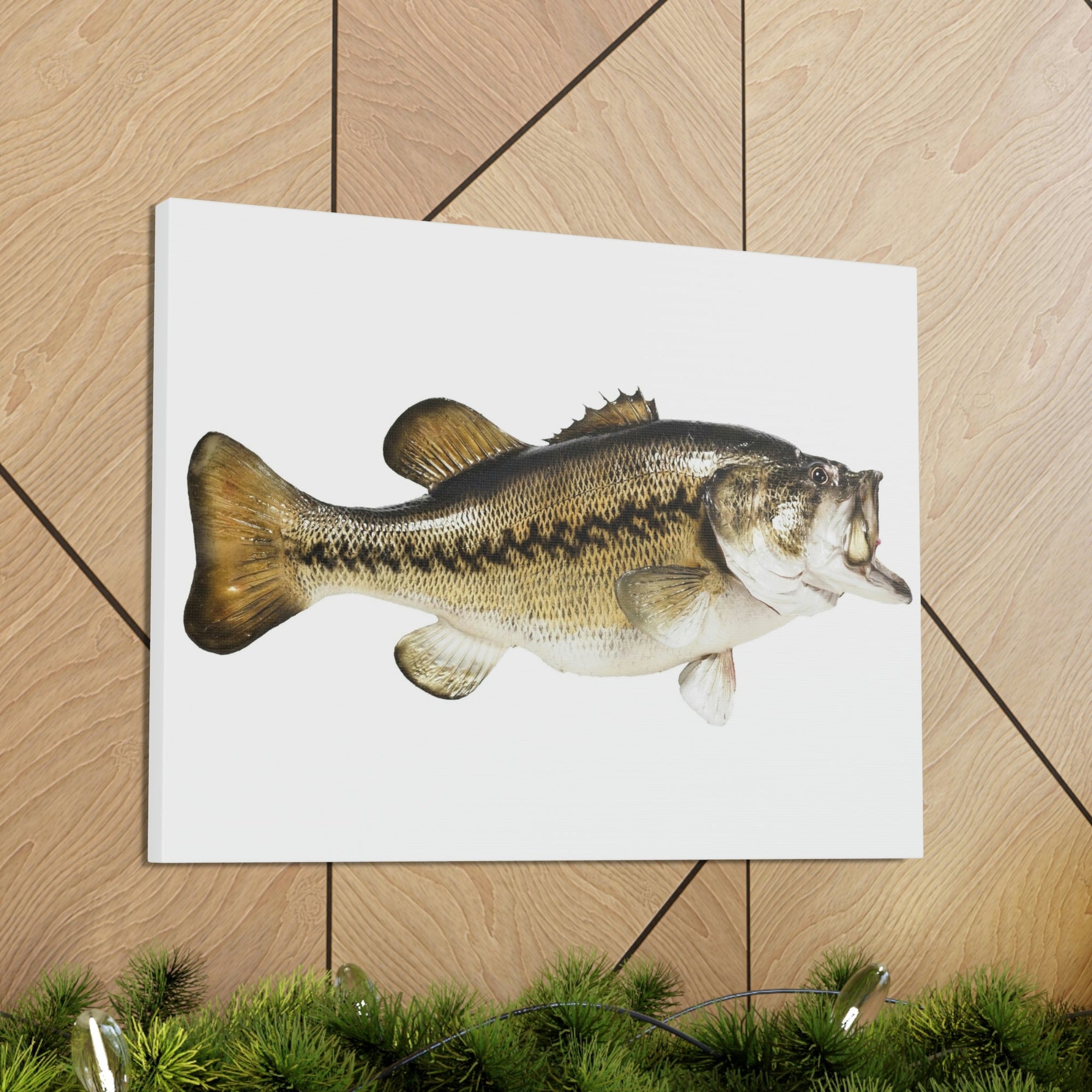 Scripture Walls Funny Isolated Bass Print Animal Wall Art Wildlife Canvas Prints Wall Art Ready to Hang Unframed-Express Your Love Gifts