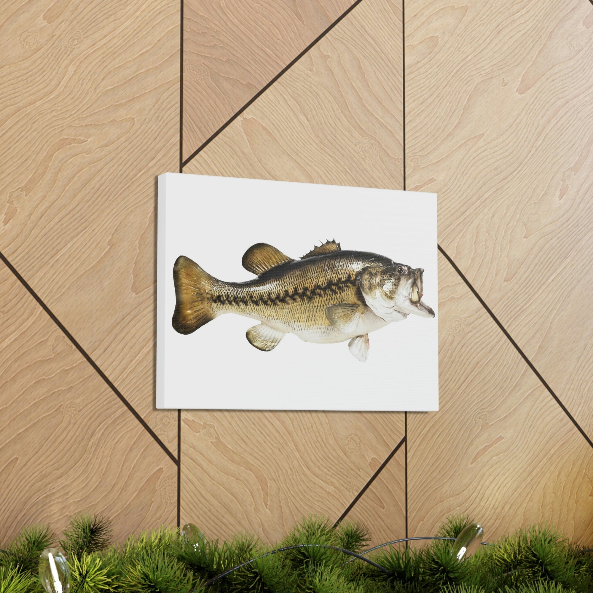 Scripture Walls Funny Isolated Bass Print Animal Wall Art Wildlife Canvas Prints Wall Art Ready to Hang Unframed-Express Your Love Gifts