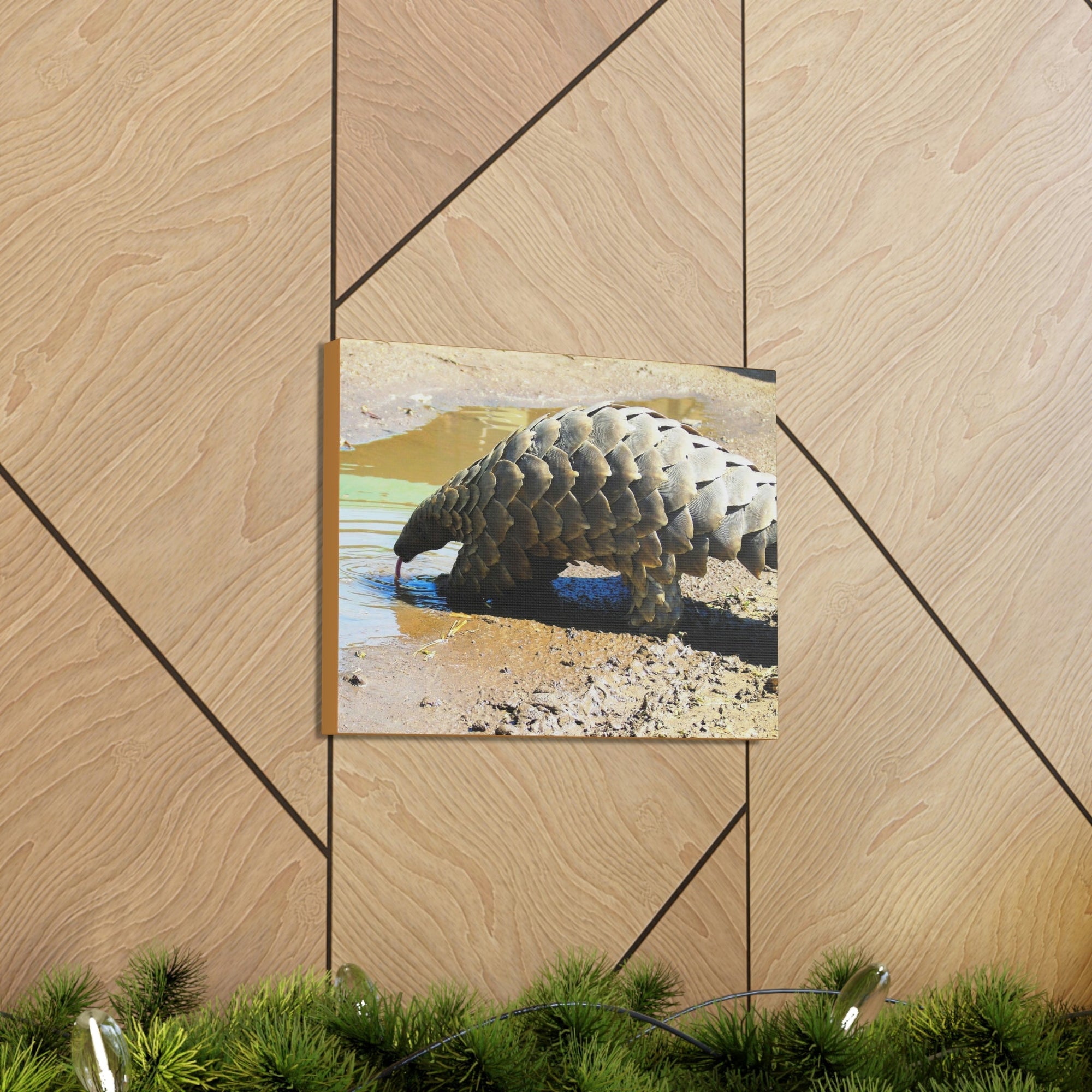 Funny Pangolin Silly African Tree Pangolin Outside Wall Art Ready to Hang Unframed-Express Your Love Gifts